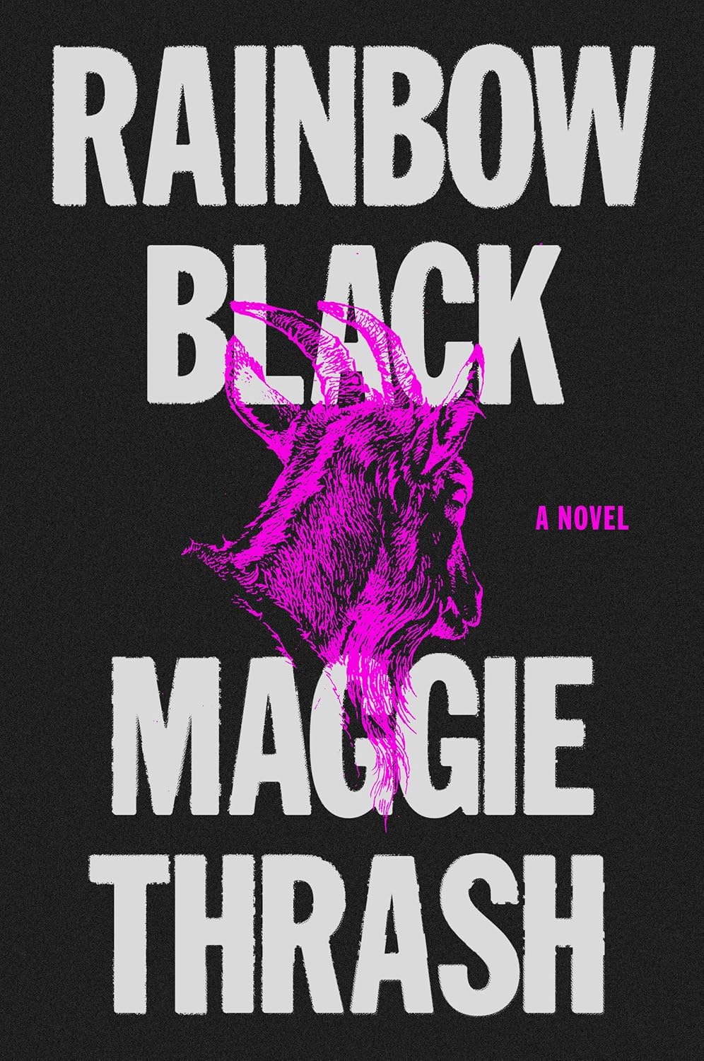 Rainbow Black: A Novel      Paperback – March 19, 2024