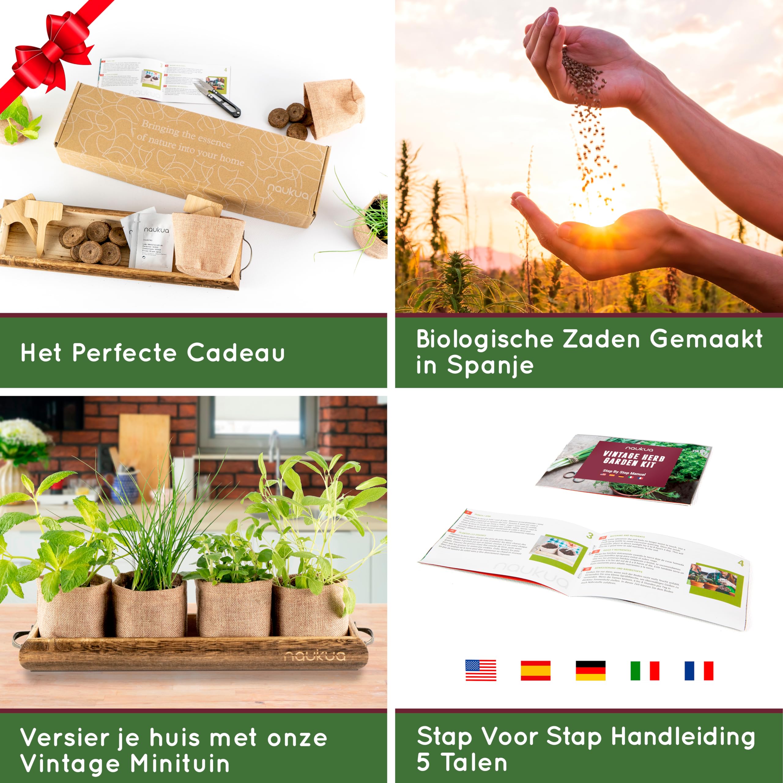 Siertuin, kruidentuin, moestuin! - Meer dan vijftig Siertuin, kruidentuin, moestuin! - Meer dan vijftig