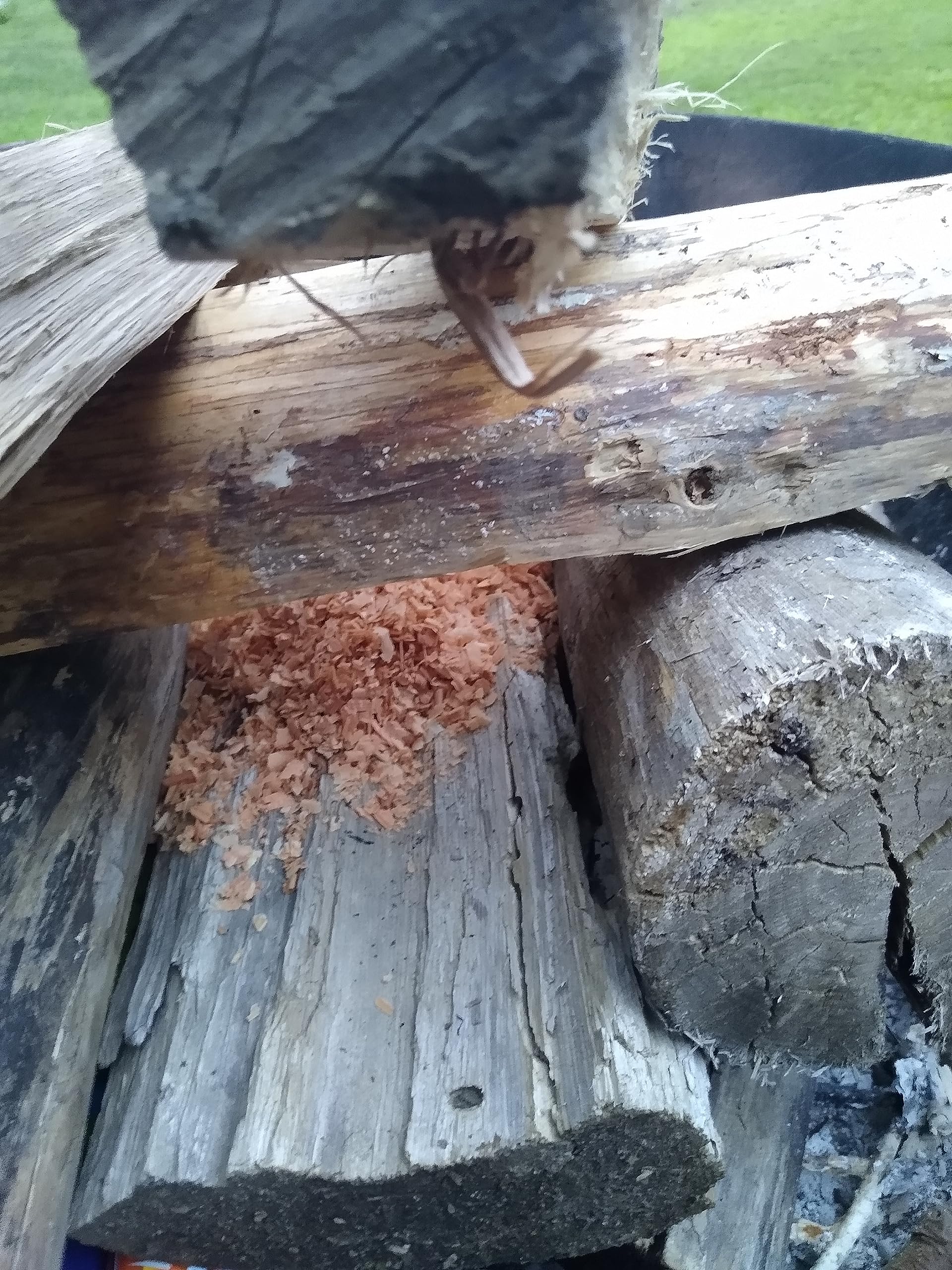 CC's Wood Shack Fire Starter (2 LB Bag)