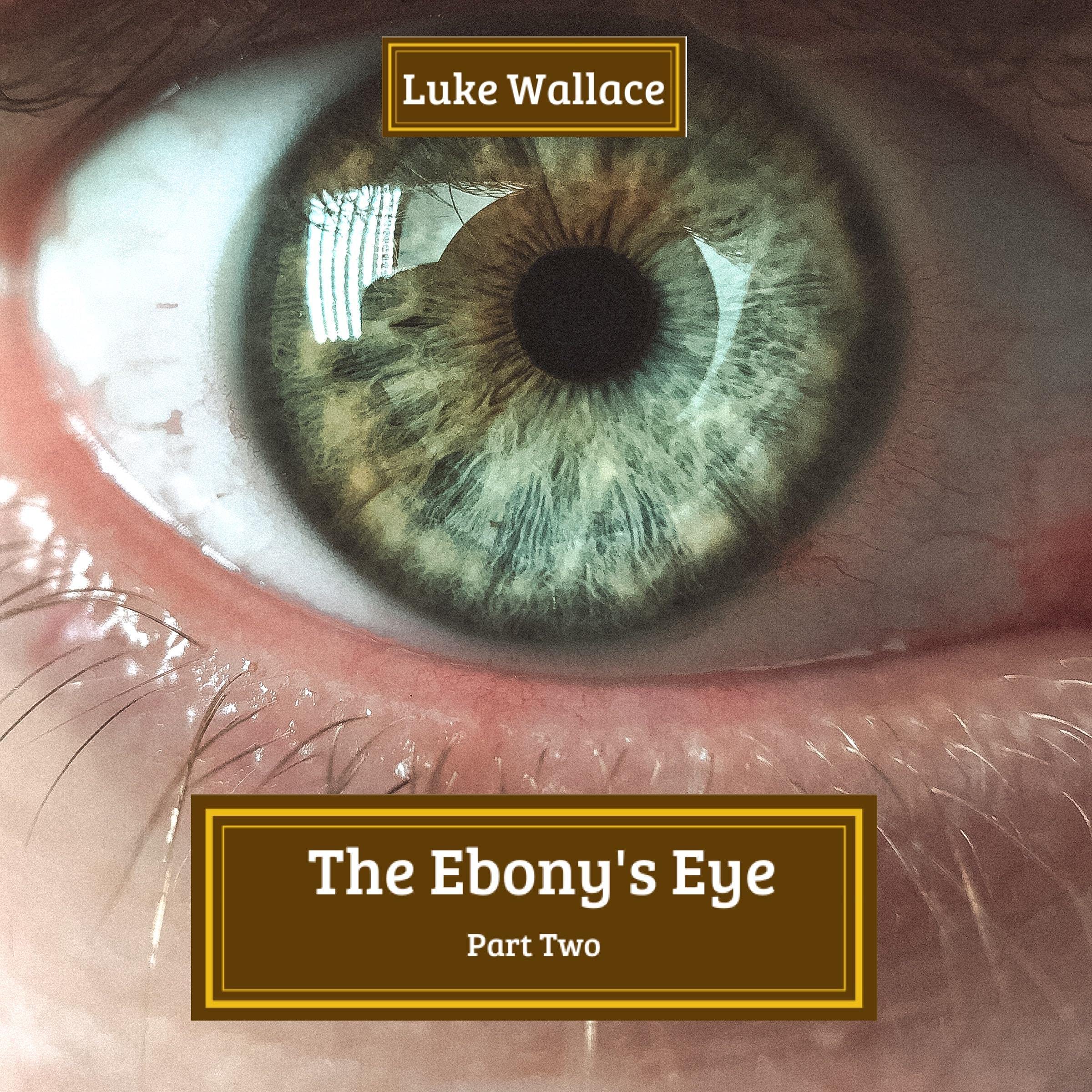 Cover art for The Ebony's Eye: Part Two