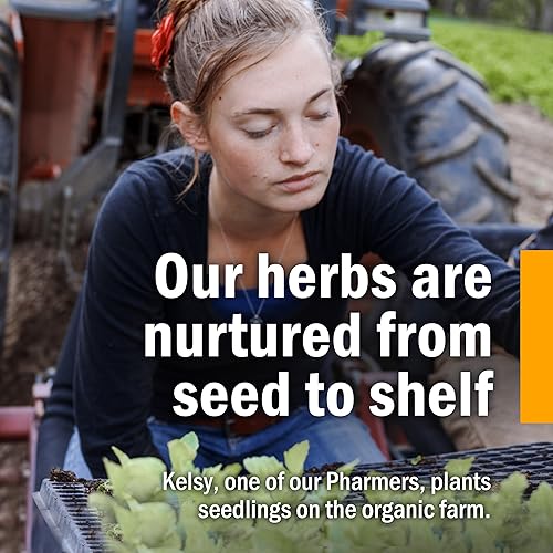 Miniatura 11 de Herb Pharm Extracto líquido orgánico certificado Skullcap para apoyo del sistema nervioso, glicerita sin alcohol, 4 onzas