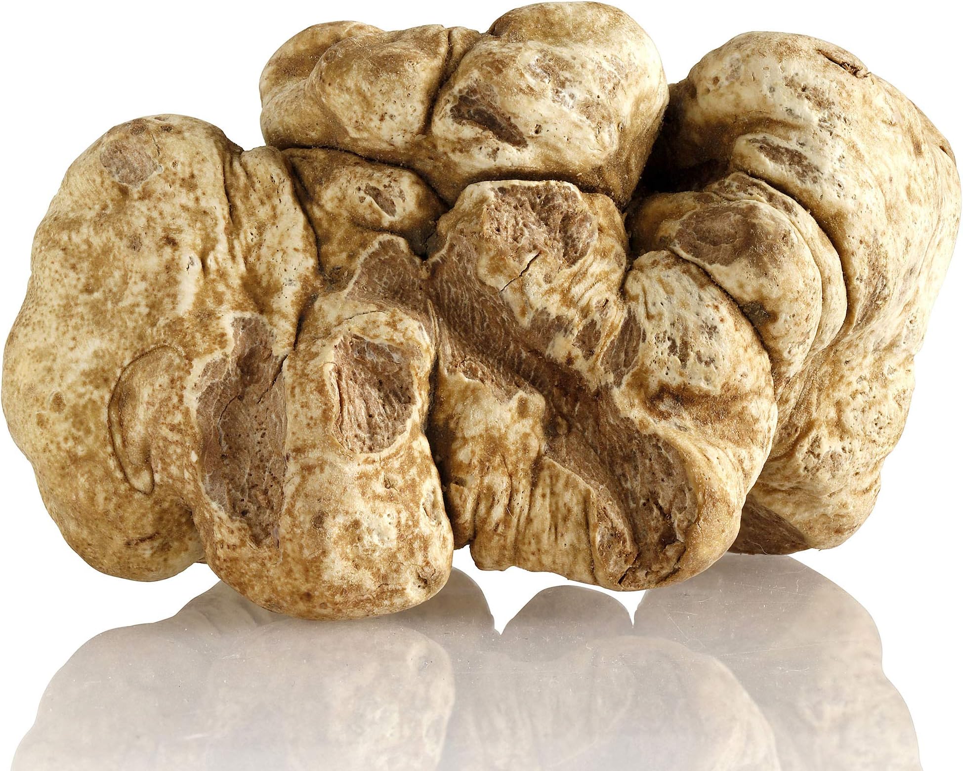 TRUFFLES USA Frozen White Truffles 4.7oz ONE PIECE - Imported from Italy - Specialty food Truffles - Vegetarian - Gluten Free