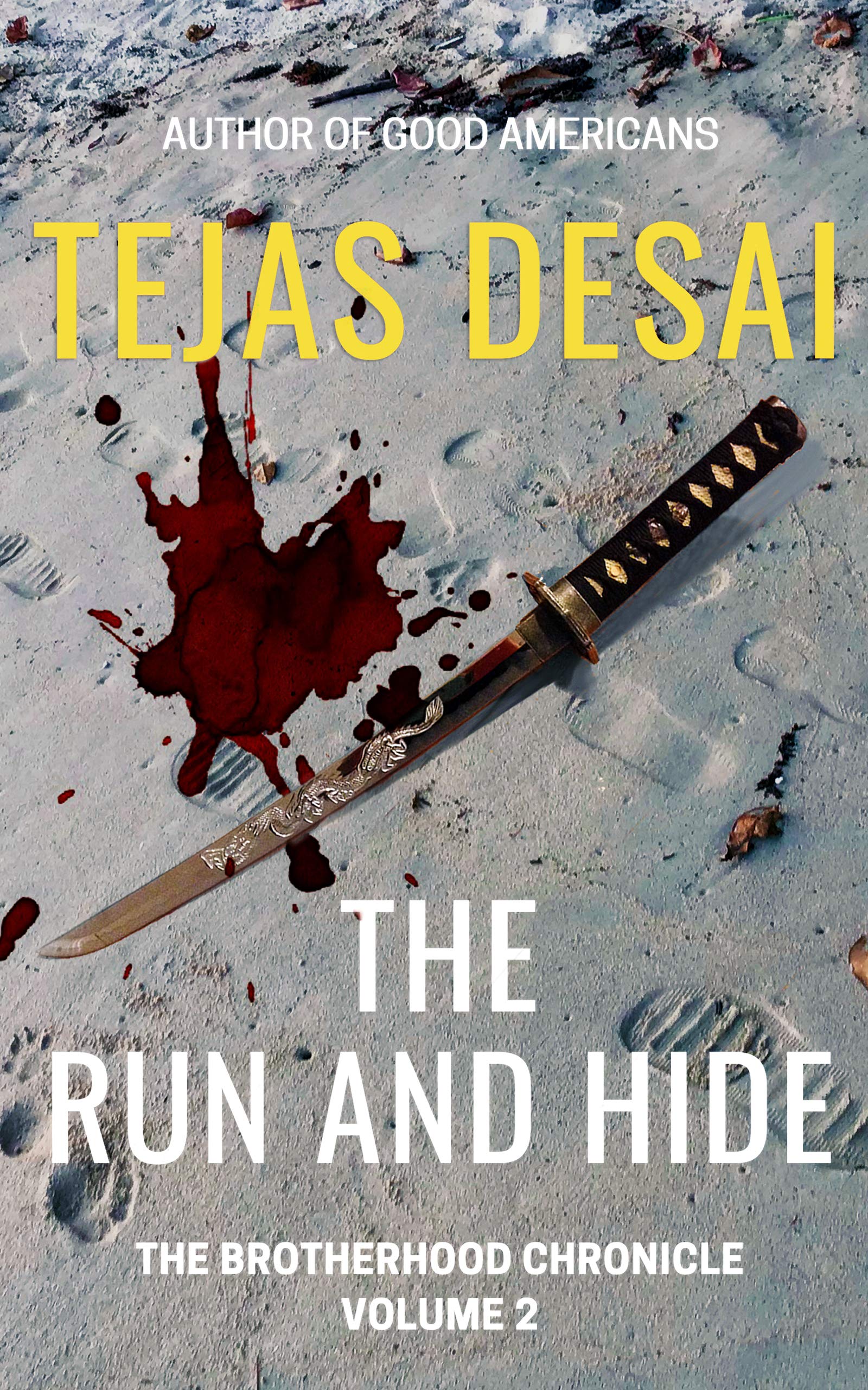 The Run and Hide (The Brotherhood Chronicle Book 2)