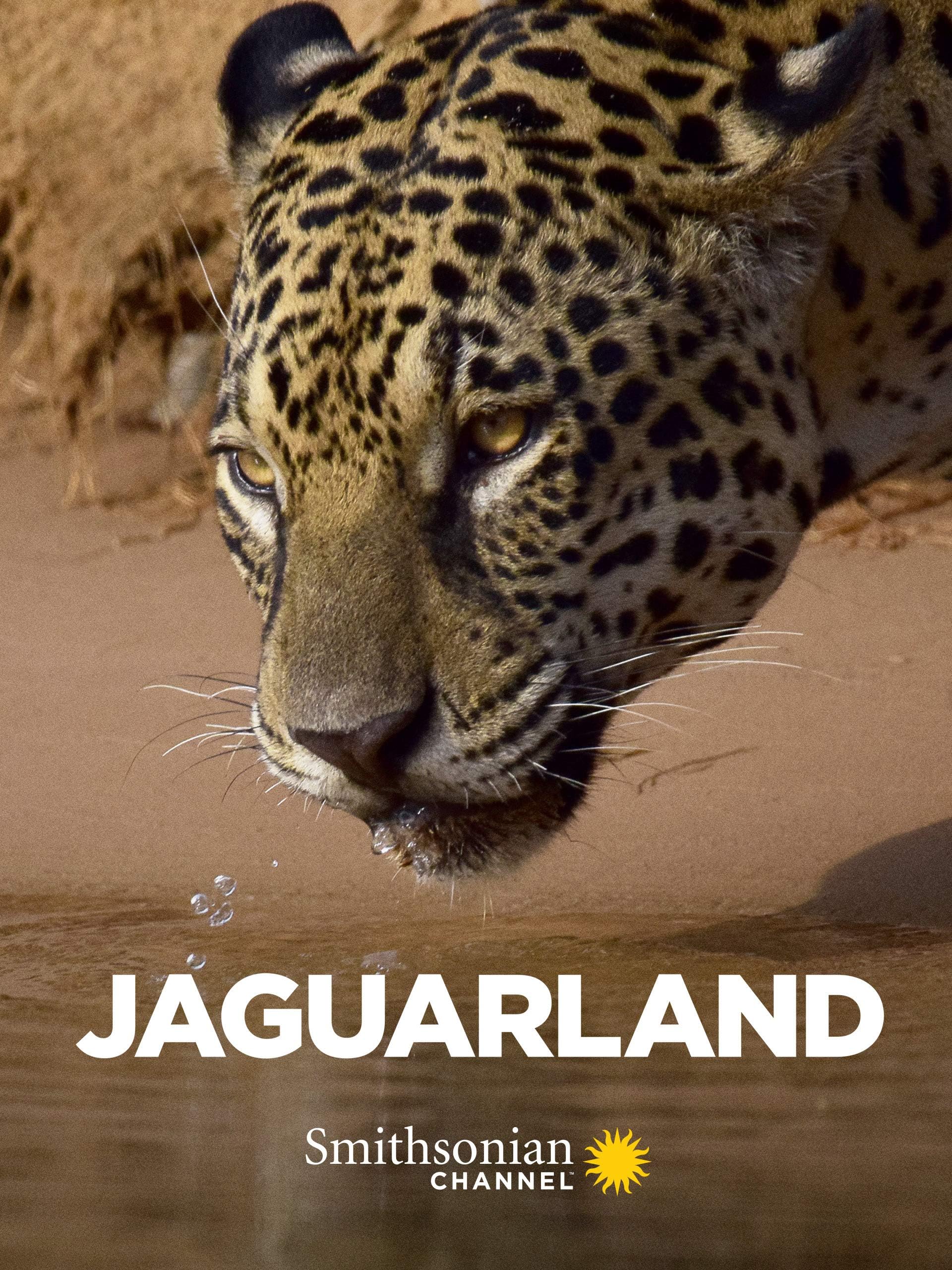 Jaguarland
