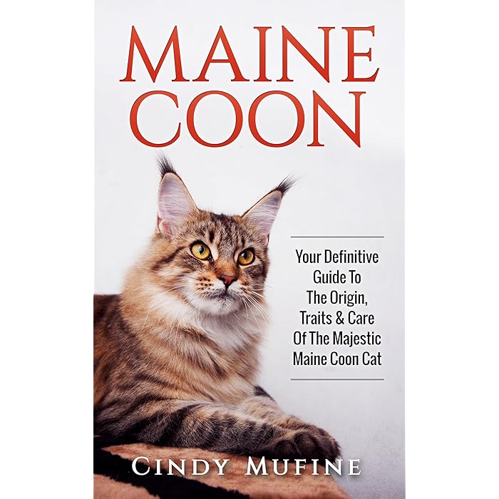 Buy Maine Coon Your Definitive Guide to The Origin, Traits & Care Of