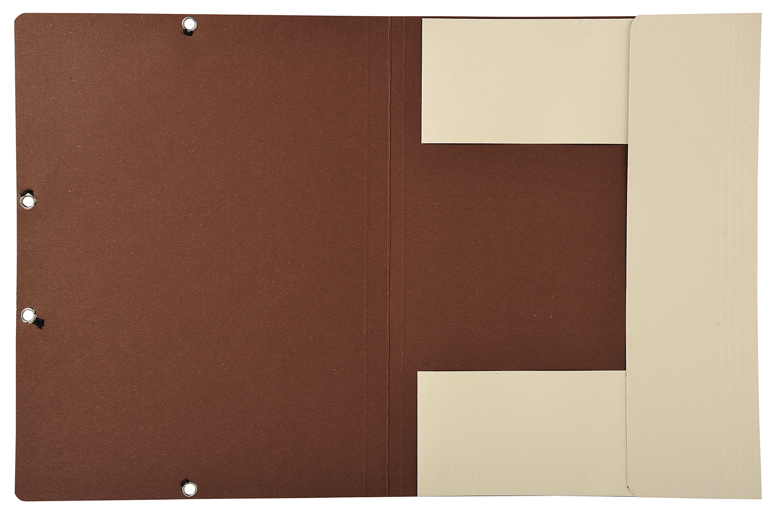 Exacompta 56980E - Pack de 25 carpetas elásticas (3 solapas, cartón reciclado, 380 g/m²), color Arena/chocolate