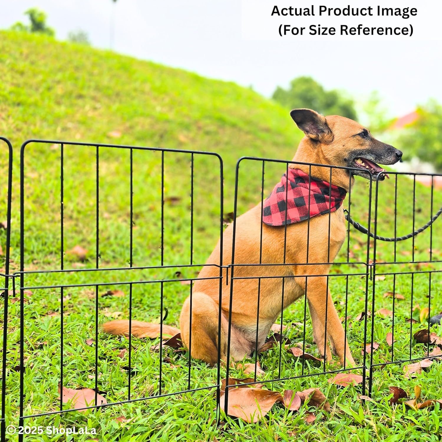 ShopLaLa Decorative Garden Fence (10 Panels) 12in(L) x 24in(H) Rustproof Black Metal Animal Barrier for Dog, Classic Wire Fencing Flower Bed Edging for Yard Landscape Patio Outdoor Border Panels Decor