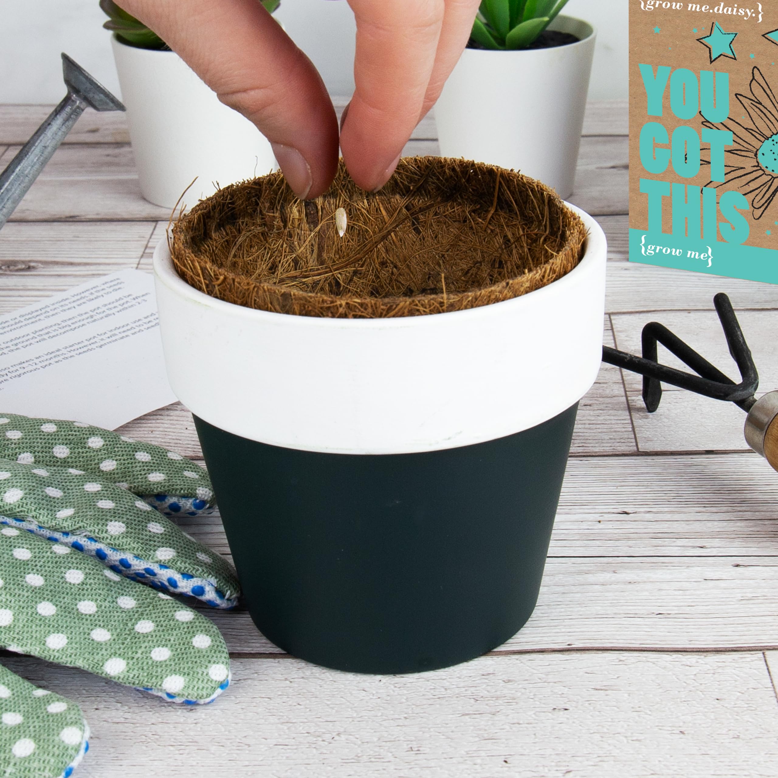View 4