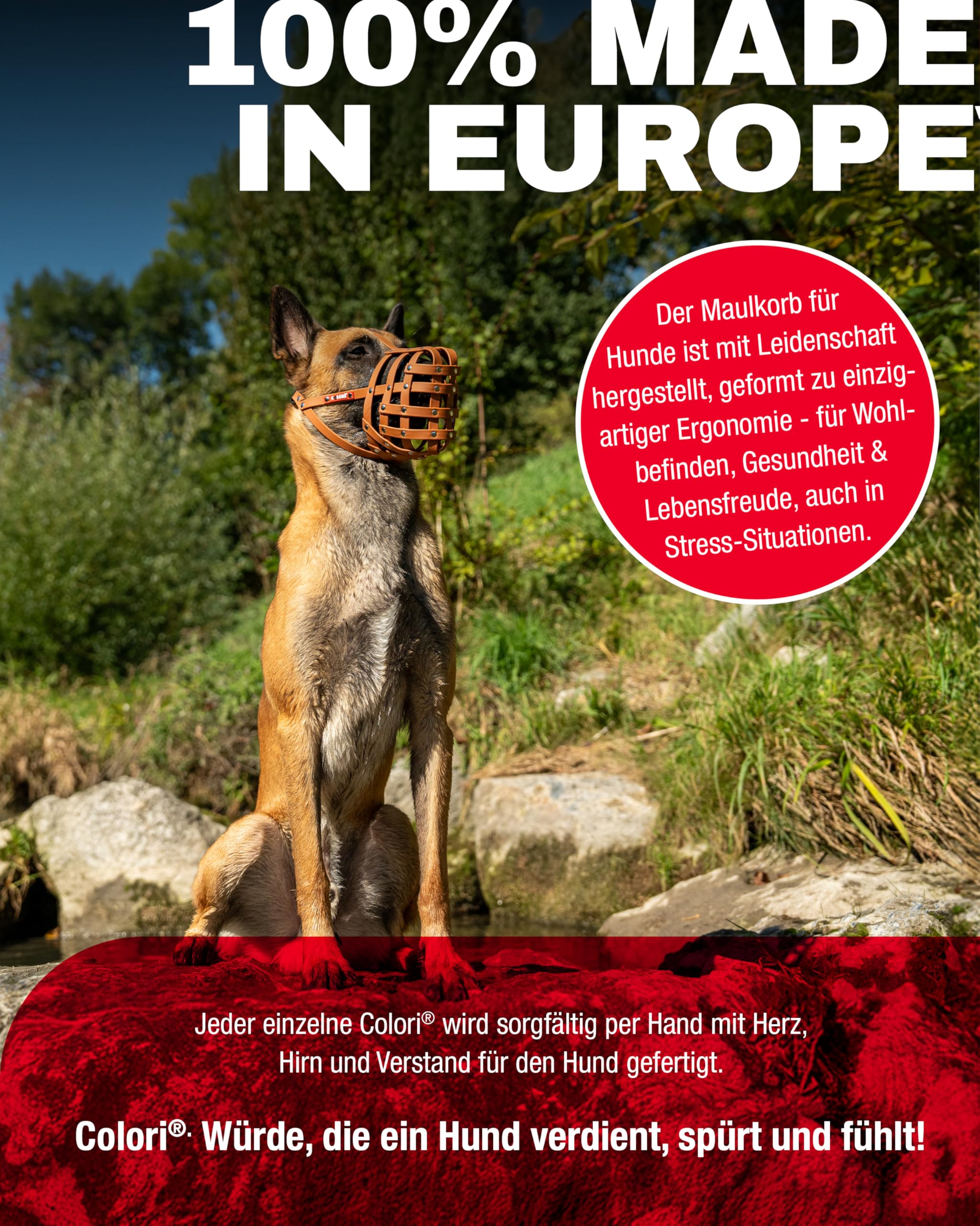 COLORI®-Maulkorb für mittlere Hunde, Größe 6, LIGHT BROWN - Natürliches Hecheln & Trinken, Sanfter Tragekomfort, Schützt beim Schnüffeln/Stöbern, Erschwert die Aufnahme unerwünschter Dinge