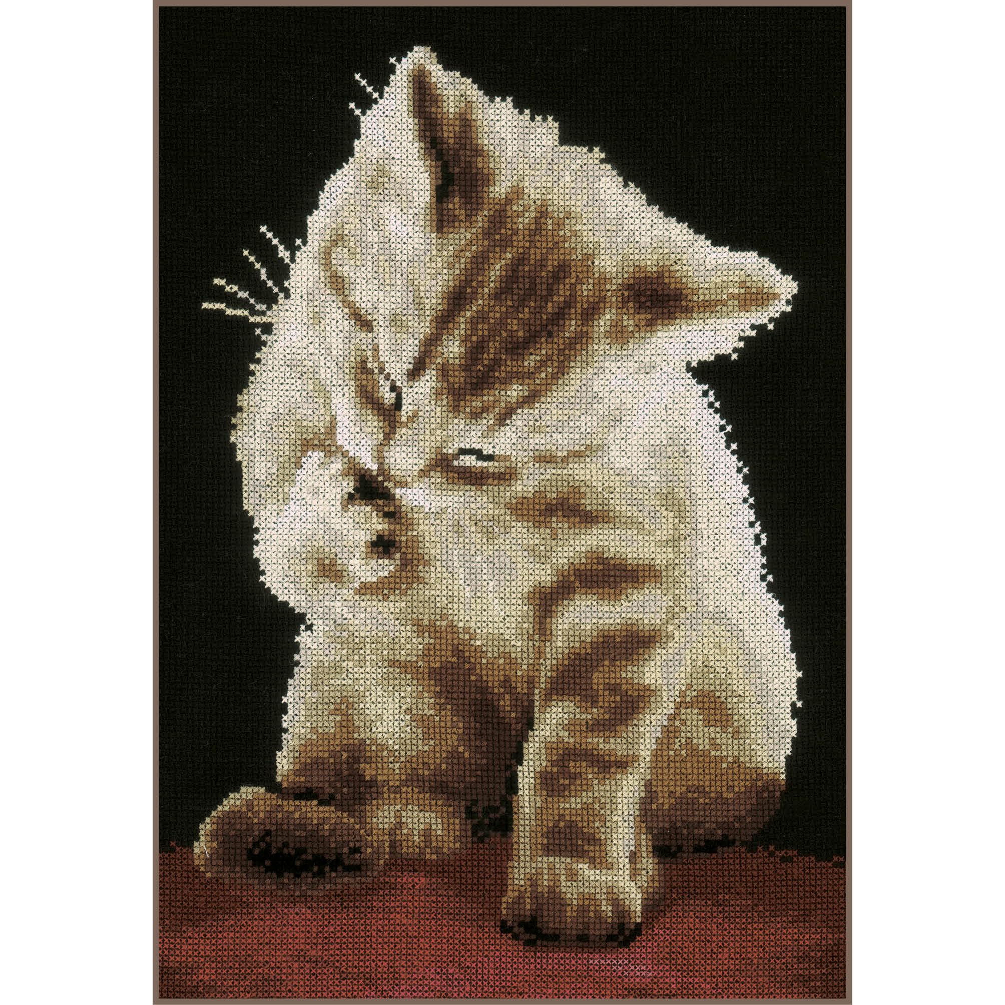 Point de Croix Complet Chaton Anti-Stress Loisir Créatif