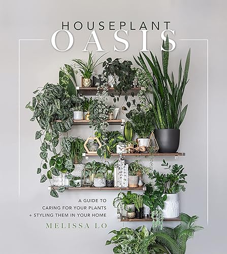 Houseplant Oasis: A Guide to Caring for Your Plants +