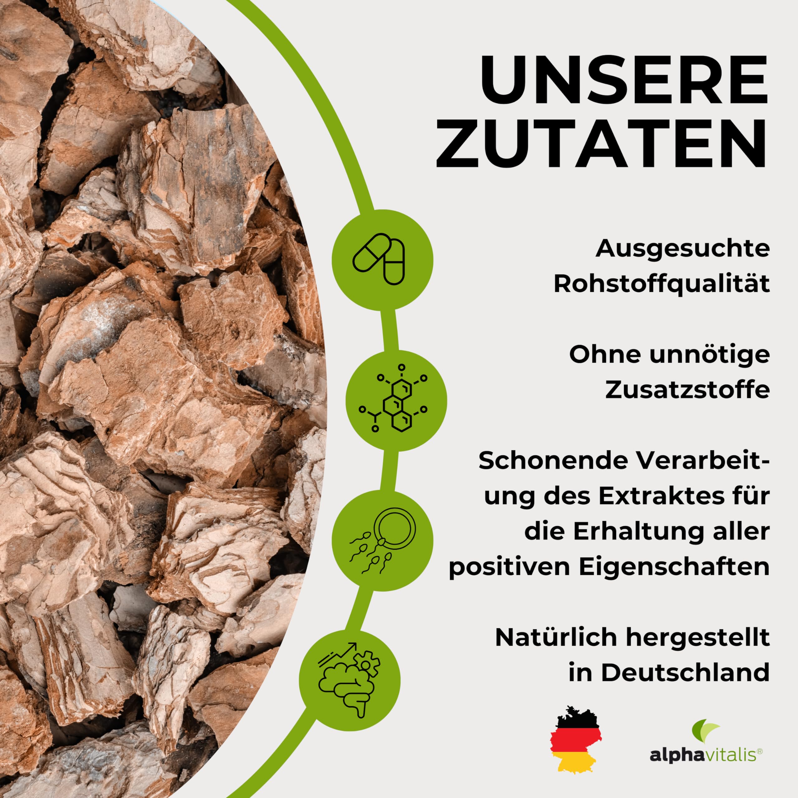 Pinienrindenextrakt Kapseln hochdosiert mit 32% OPC + natürliches Vitamin C - 240 Stk. - 500mg veganer Kiefernrindenextrakt - laborgeprüft aus Pinus pinaster