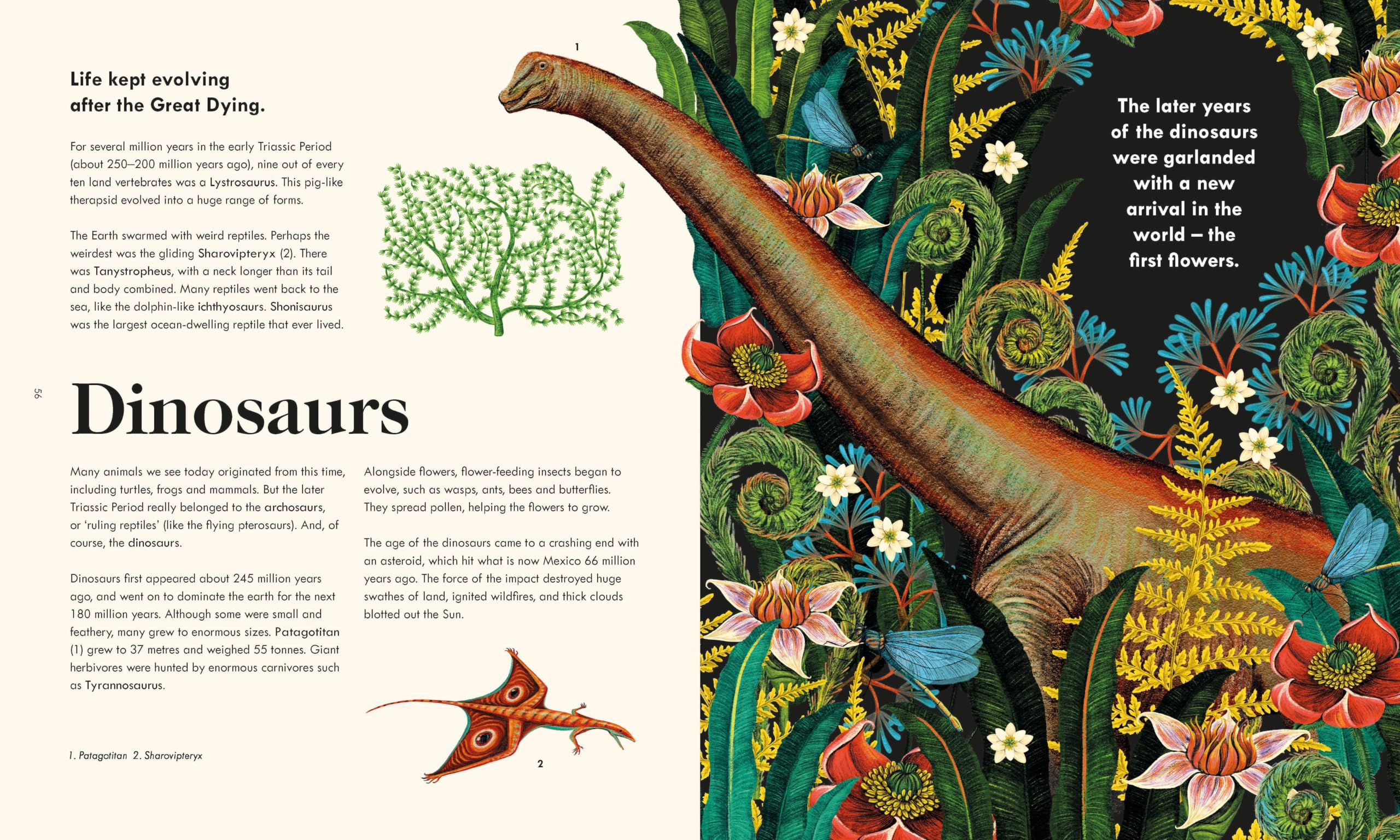 The Wonder of Life on Earth: A beautifully illustrated story of our planet, evolution and you, by the winner of the Royal Society Science Book Prize