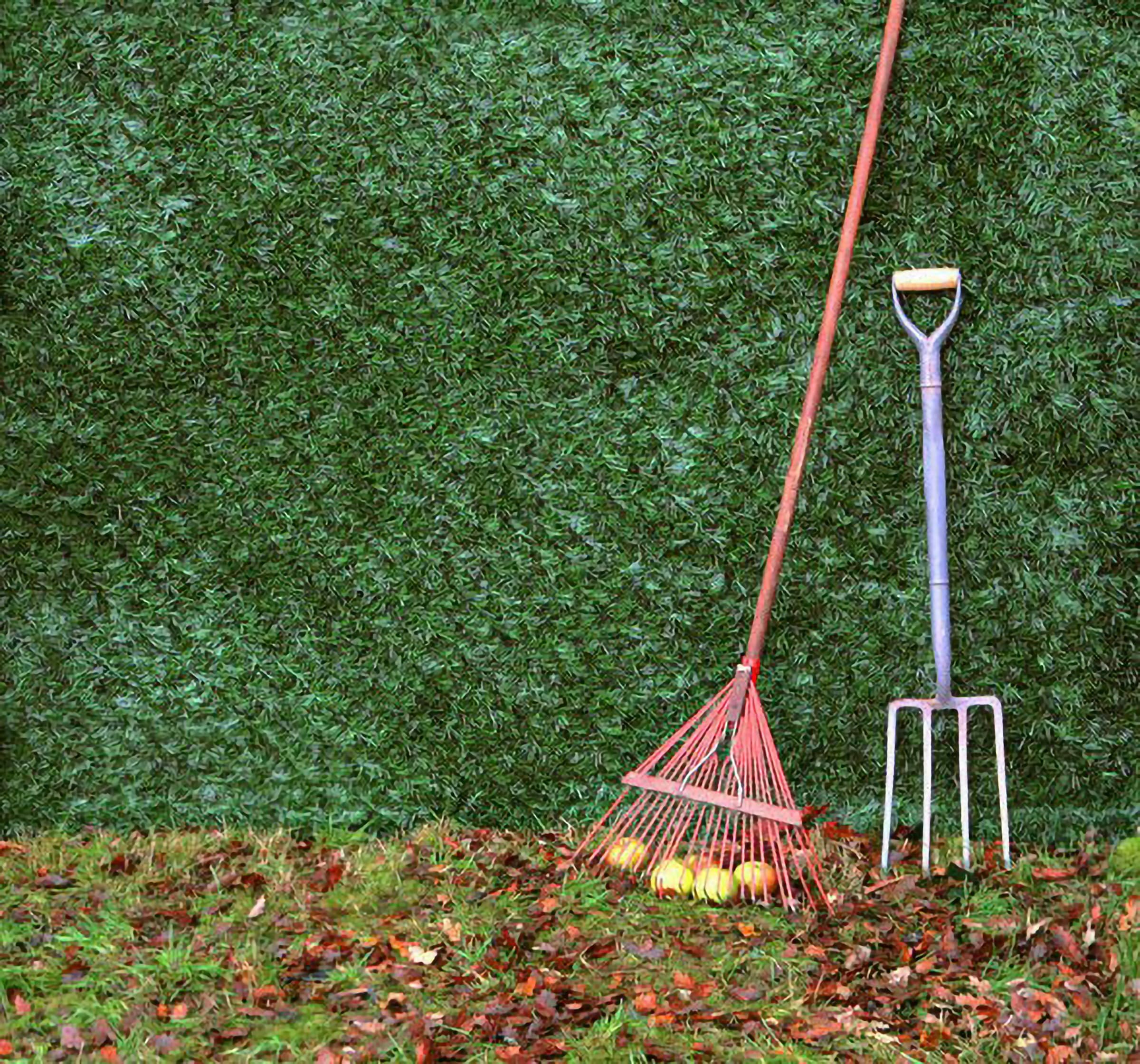 Primrose Papillon Artificial Conifer Plastic Hedge Garden Fence Screening Roll Privacy Border 3m x 1.5m (9ft 10in x 4ft 11in)
