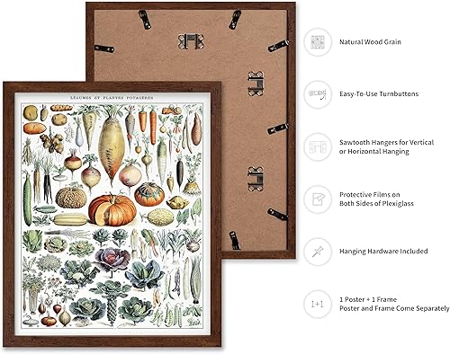 Miniatura 324 de Poster Master Póster vintage de orquídea, estampado de flores retro, arte de pared de plantas exóticas, arte botánico, regalo para hombres y