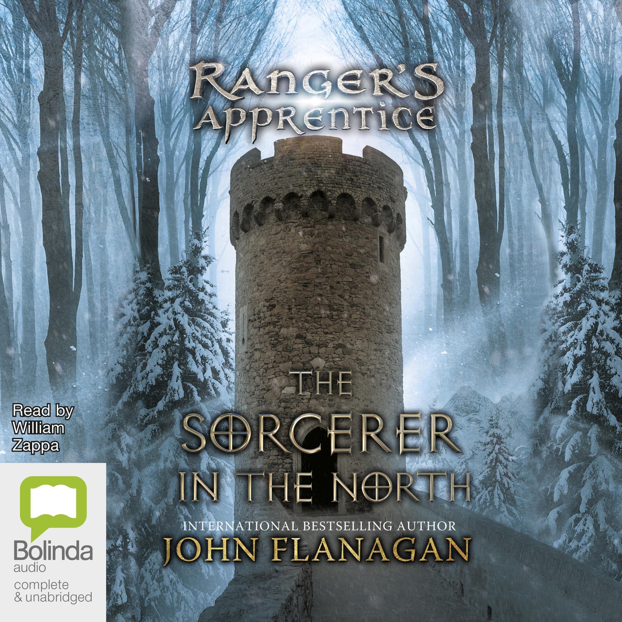 Cover art for The Sorcerer in the North