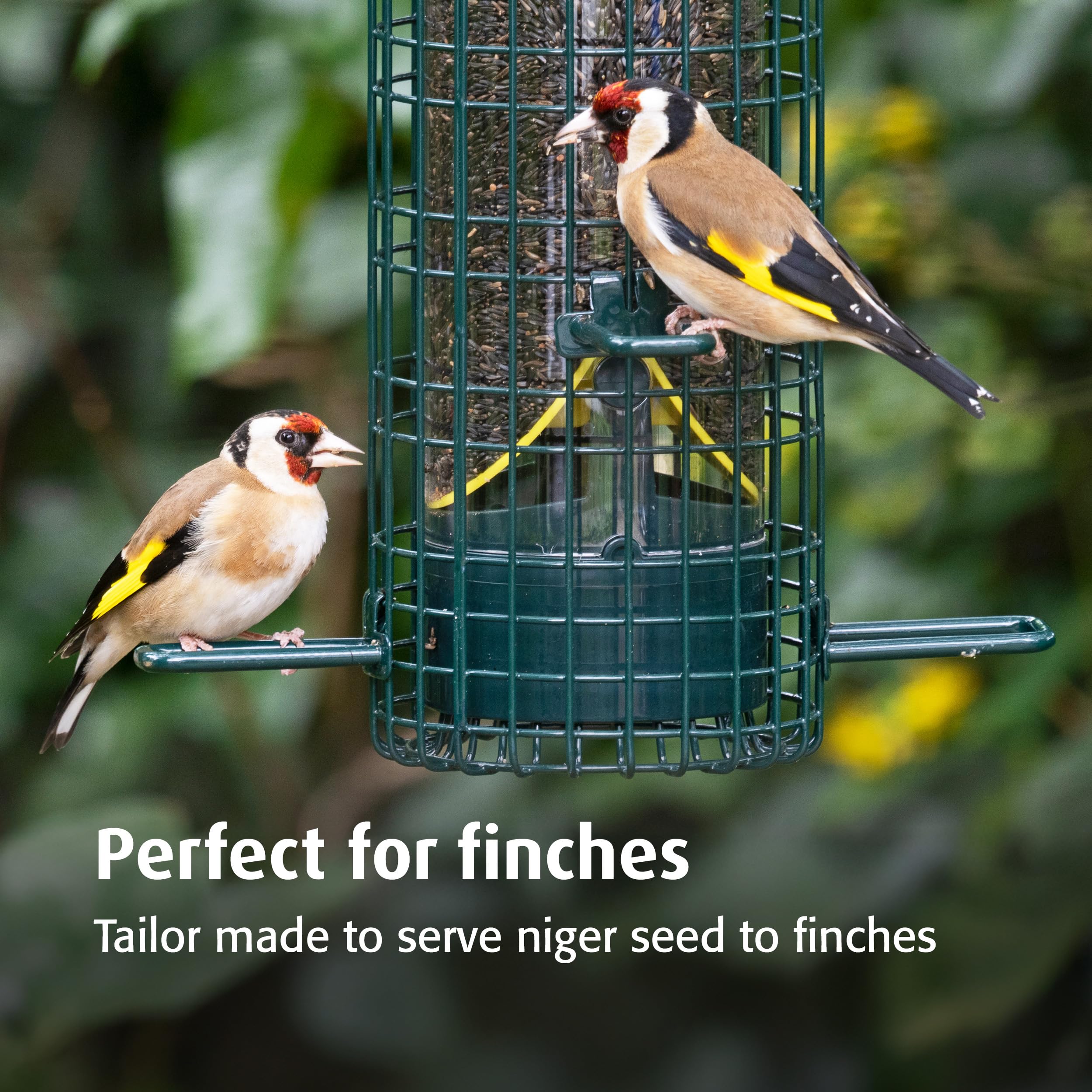 Mangeoire à Oiseaux Anti-écureuils, Mangeoire à Oiseaux En Métal à Suspendre Pour L'extérieur