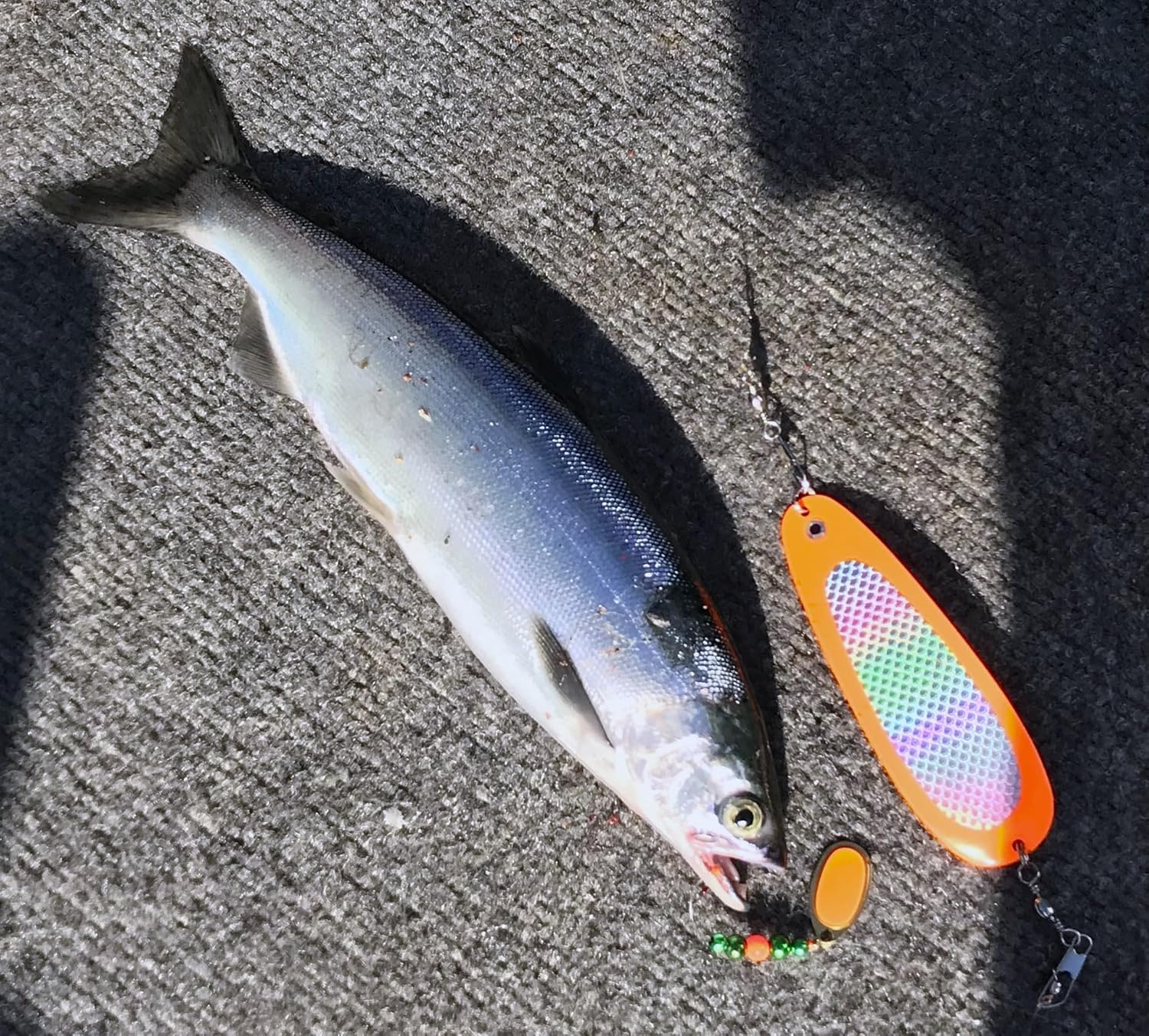 Kokanee Dodgers (4): Silver Prism/Fluorescent
