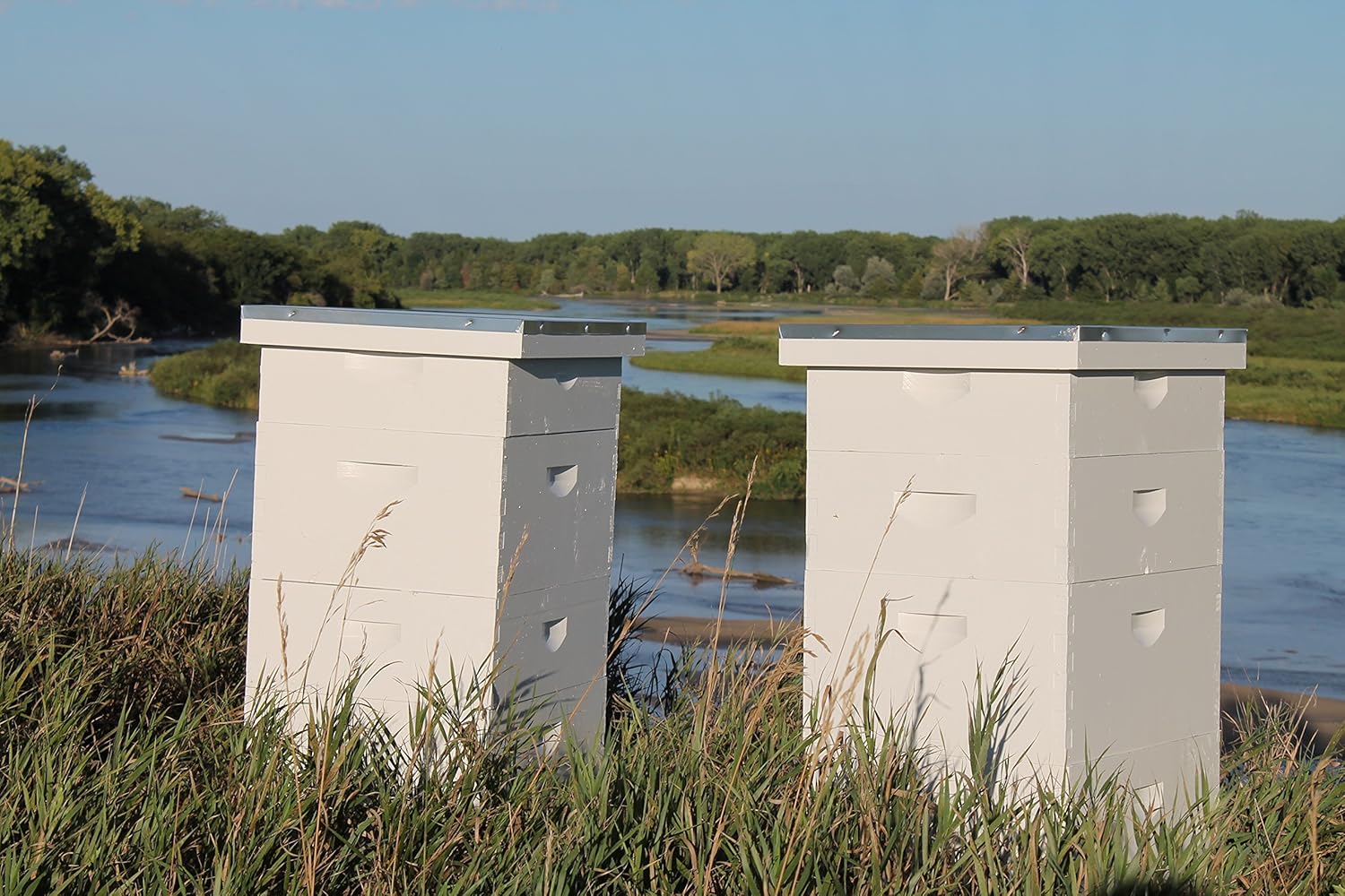 Raw Honey Pure Natural Nebraska Honey One 5lb Jug
