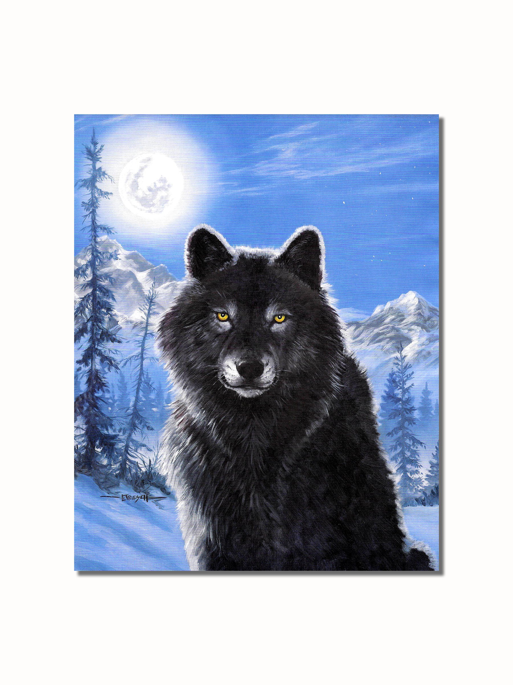 Amazon.com: Black Wolf in The Snow in Moonlight at Night Black