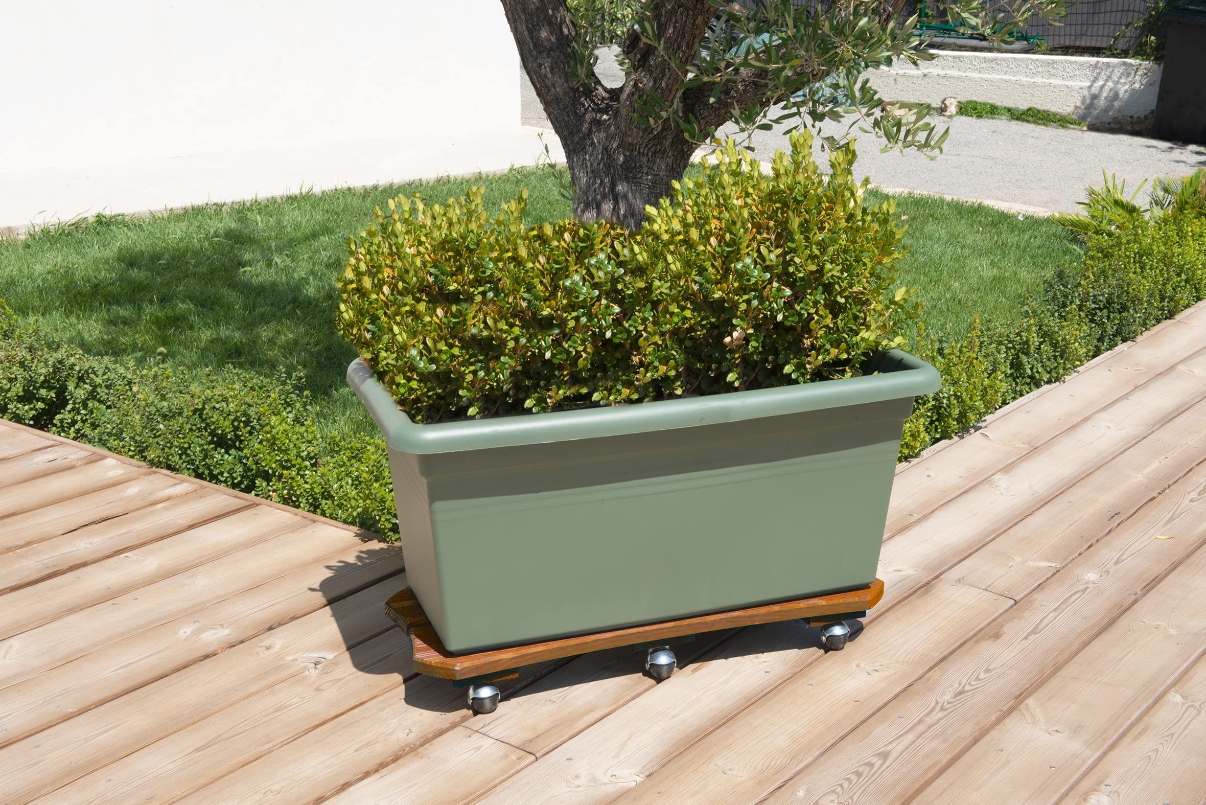 Roule-plante bois spécial bac 30x70 cm - Naturel - Origine France Garantie