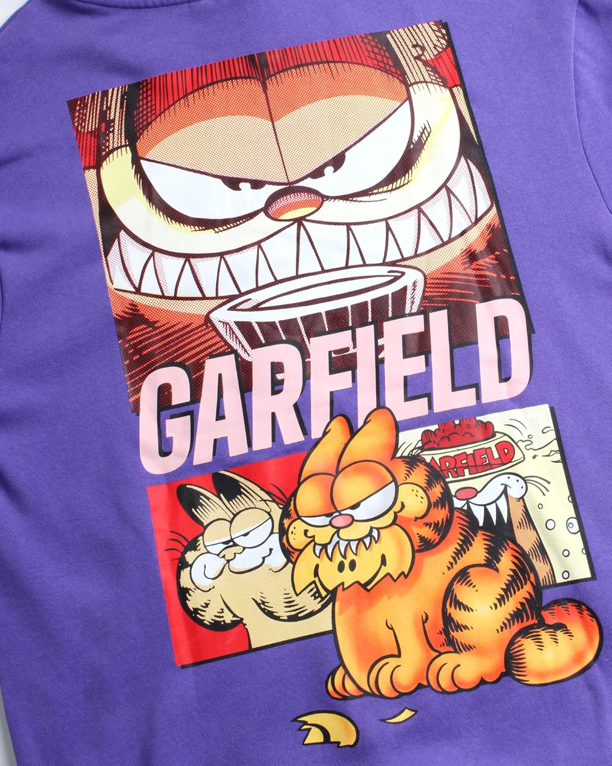 Nickelodeon - Brandclub - Nickelodeon Men's Garfield Sweatshirt