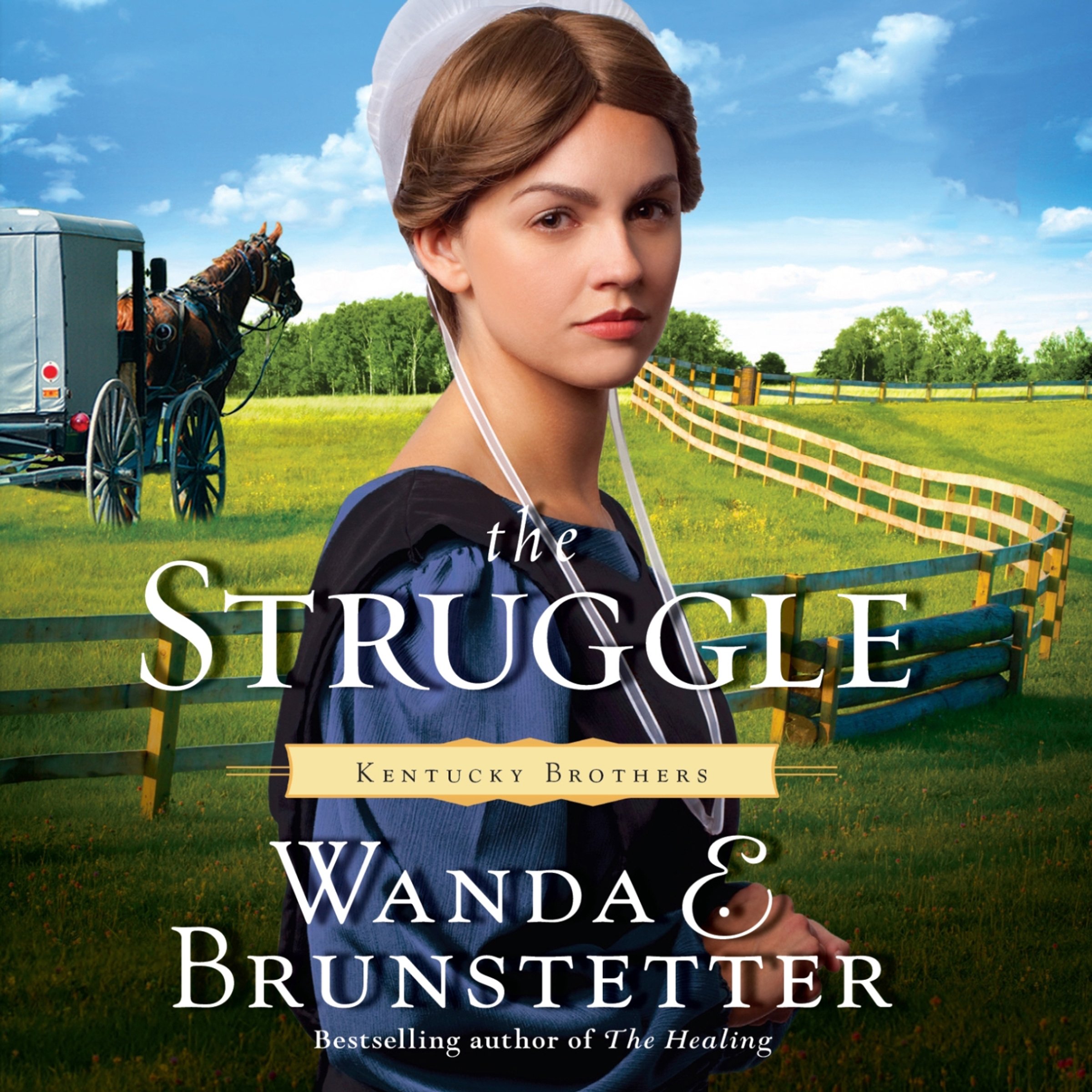 Cover art for The Struggle