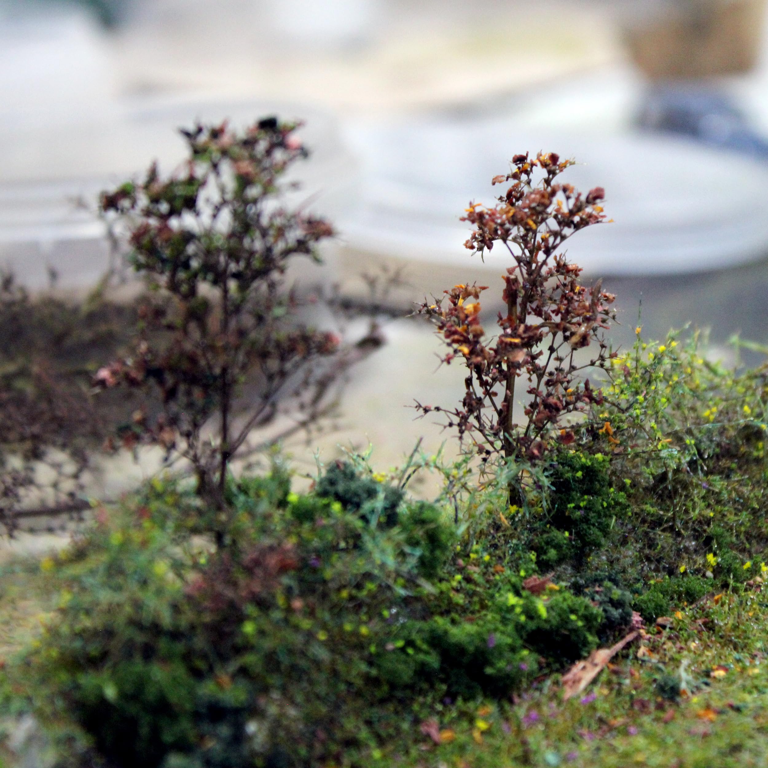 View 8