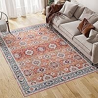 Vista 17 de Dripex Alfombra Lavable de Tribus - 2x5 Alfombra Antideslizante sin Desprendimiento para Pasillos, Resistente a Manchas, Alfombra de Cocina