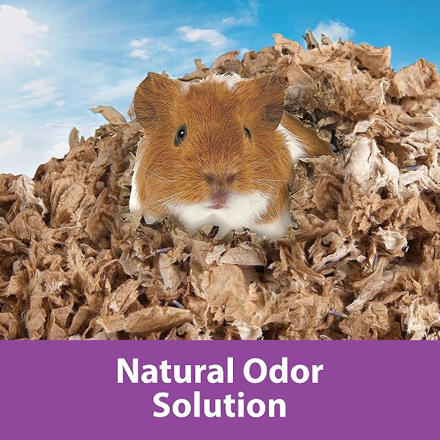 Foto 4 de 7 de Kaytee Ropa de cama natural limpia y acogedora con lavanda de 24,6 litros