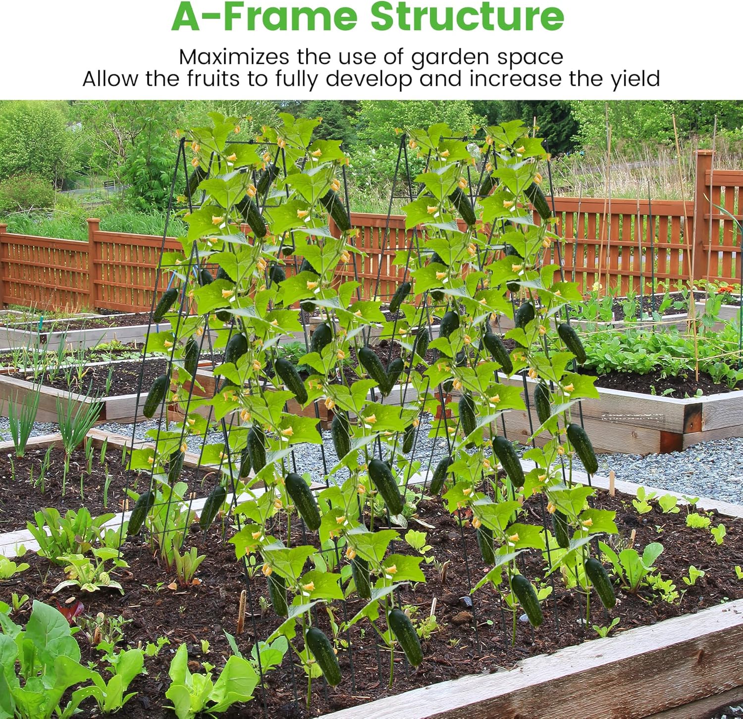 Foldable Cucumber Trellis 64" H x 20" W - 2 Pack, A-Frame Garden Trellis for Raised Bed, with Twist Ties & Plant Bags for Climbing Plants Outdoor