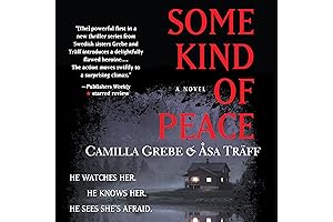 Some Kind Of Peace By Camilla Grebe