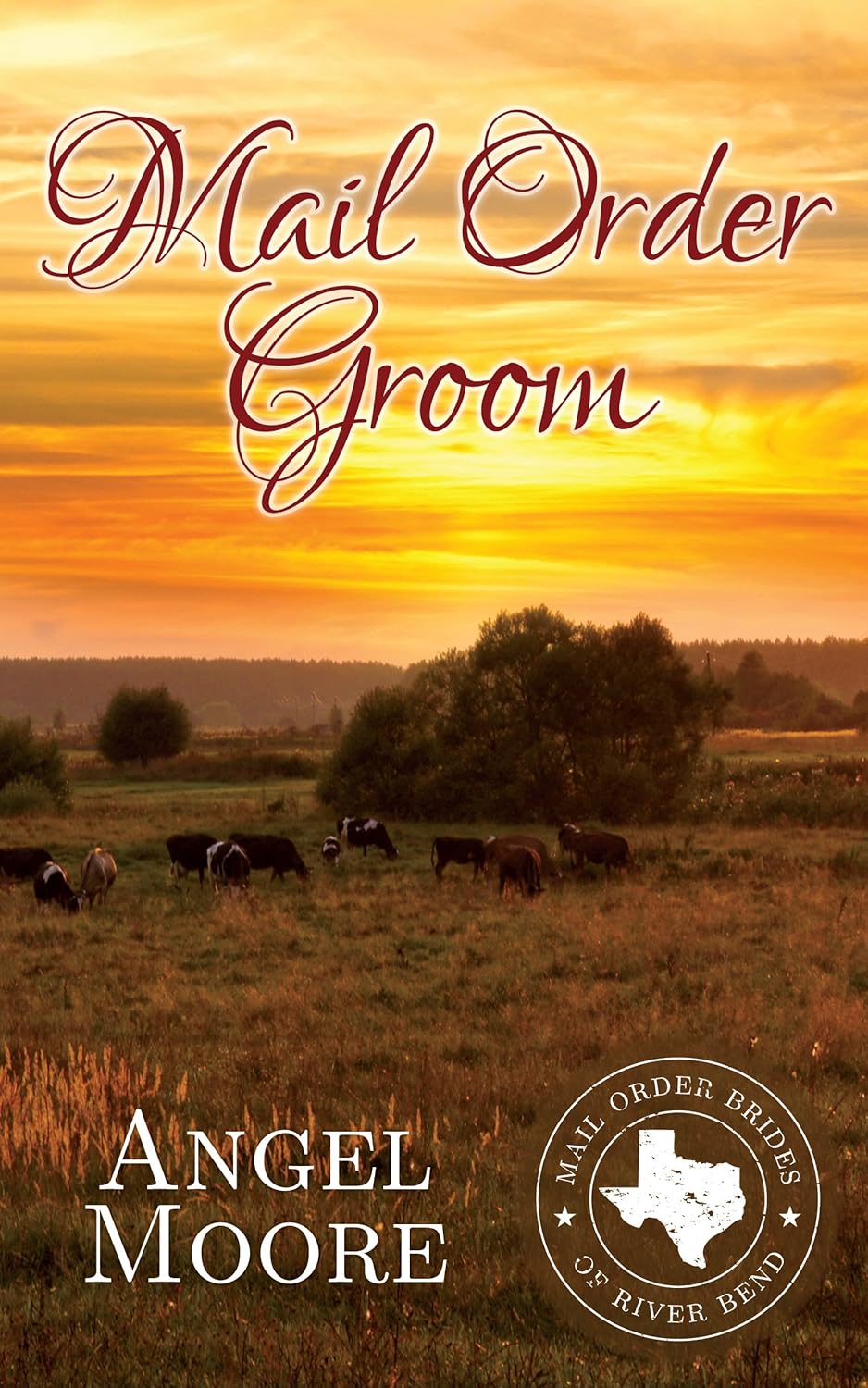 Mail Order Groom (Mail Order Brides of River Bend Book 2