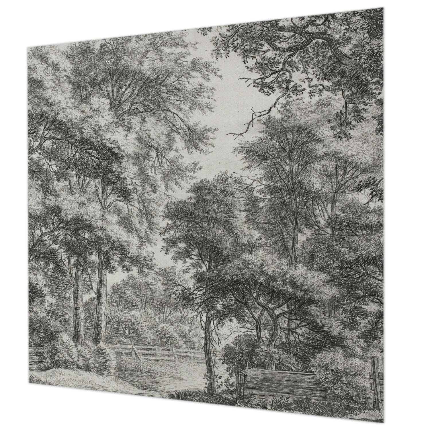 Papier peint intissé paysage forestier de 250x250 cm pour la chambre