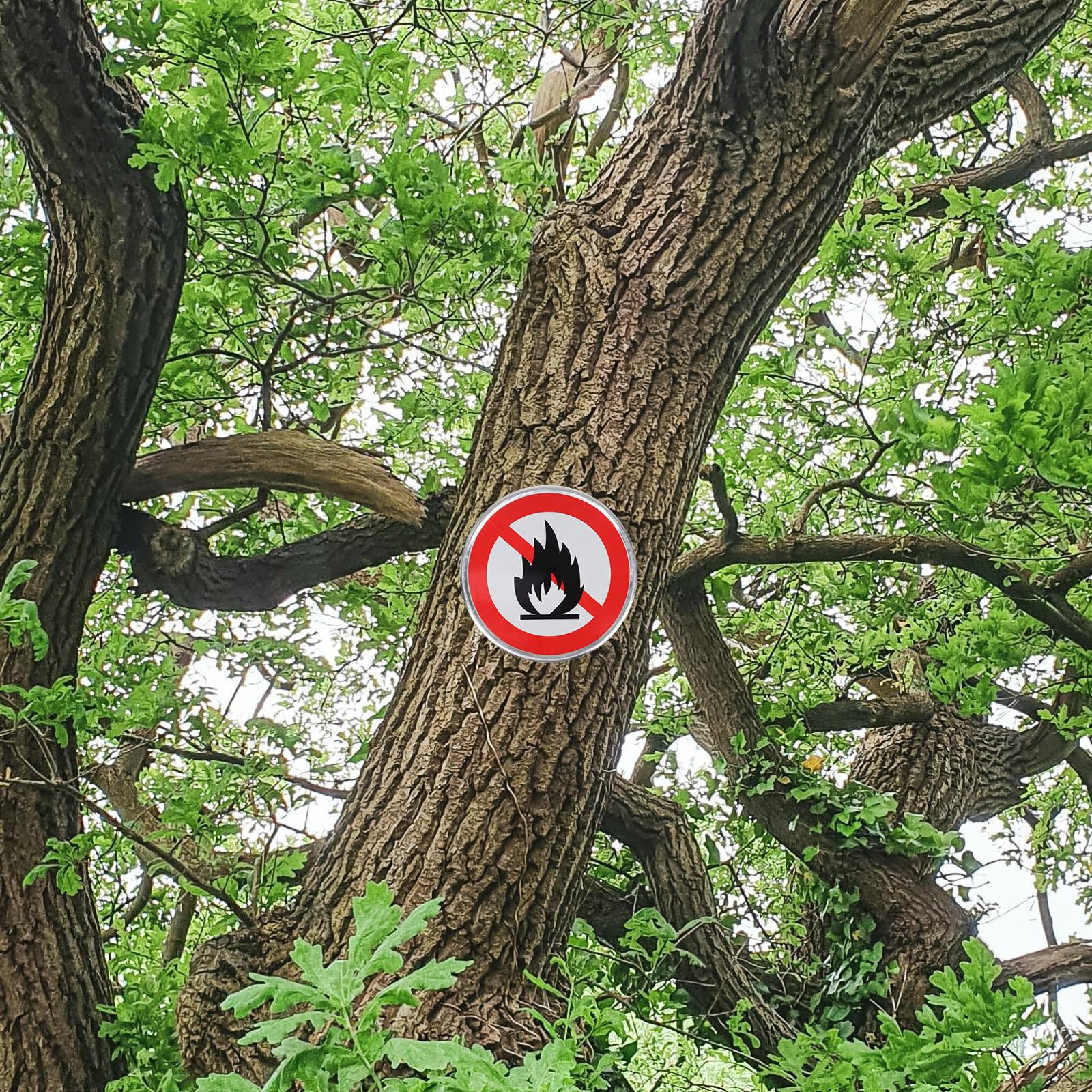 Panneau Interdiction Feu de Forêt Aluminium Signalisation Avertissement Sécurité Extérieure Résistant aux Intempéries pour Sentiers Campings et Propriétés Privées