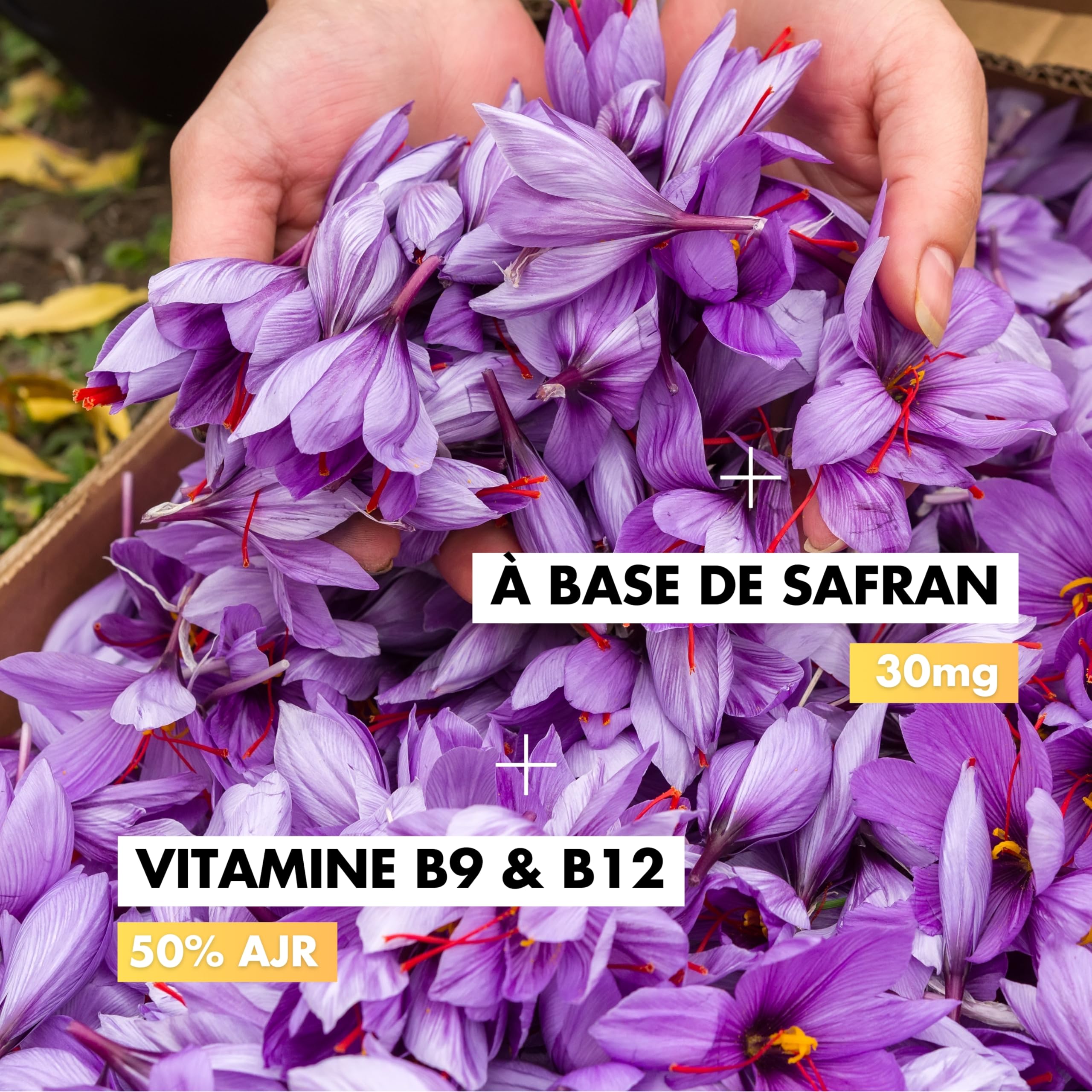 KOTOR SAFRAN MILLEPERTUIS | Anti Déprime, Baisse de Moral, Trouble de l’Humeur | Millepertuis + Safran + Magnésium Marin + Vitamine B12 & B9 | 60 Gélules | 1 Mois | Produit en France