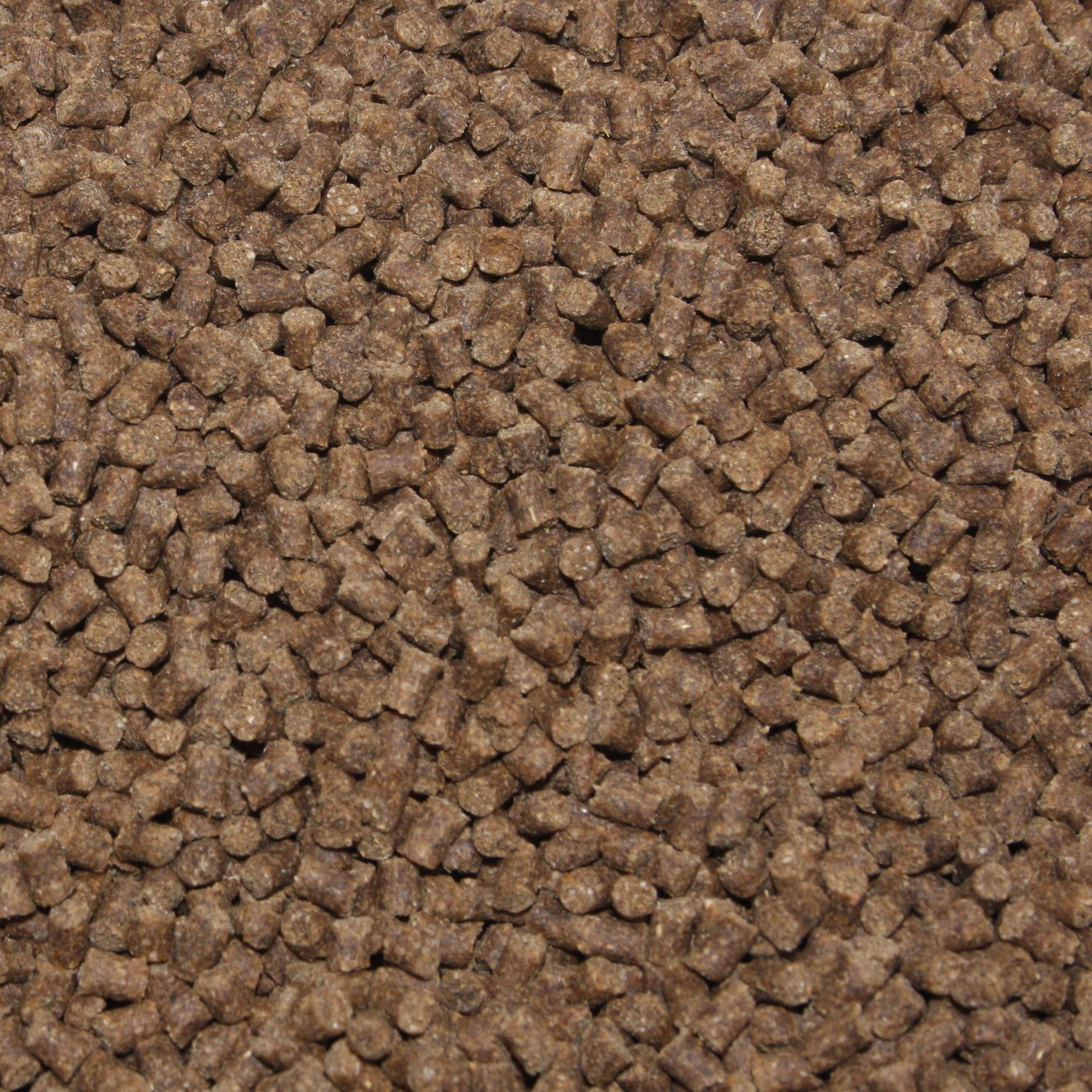 Winterfutter Koi Sinkfutter Tosai Koifutter antibakteriell Monoglyceride Koi Gesundheitsfutter für den Winter Energiefutter arktische Rohstoffe 3mm 5kg Sack