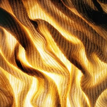 リアリティ オーデトワレ ナチュラルスプレー リズ クレイボーン 100ml 31WEyDQd0nL.jpg_BO30,255,255,