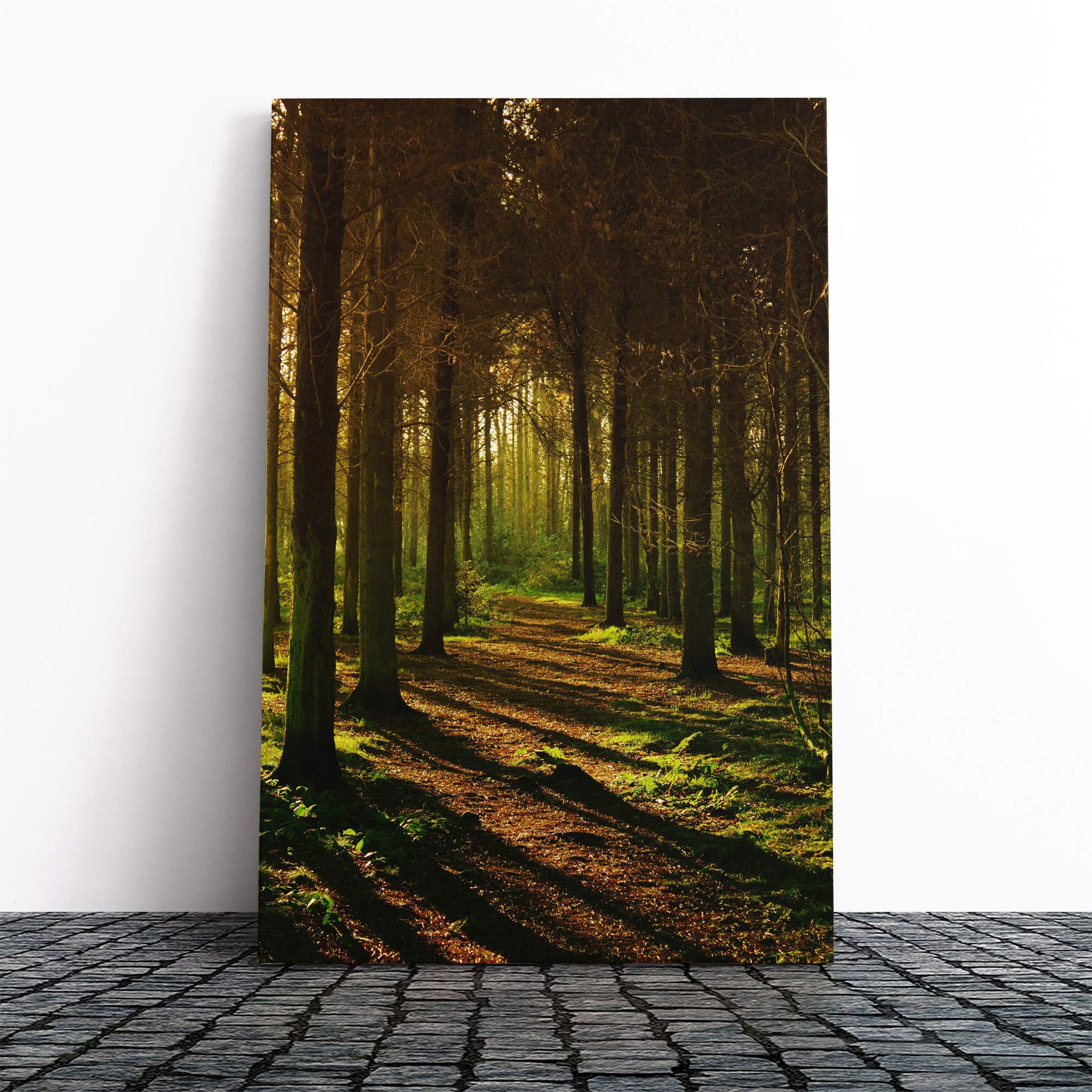 Sunlight Forest Woodland Landscape (1) Canvas Print | Gallery Wrapped 30mm Frame Wall Art | 24x16 inches | Ready to Hang | Modern Landscape Picture | Living Room Bedroom Lounge Office