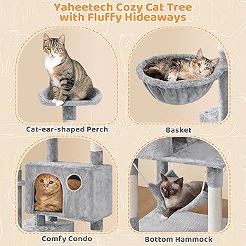 Cat　1001 Amazon.com: PAWZ Road Cat Tunnel Collapsible S Shape Cat
