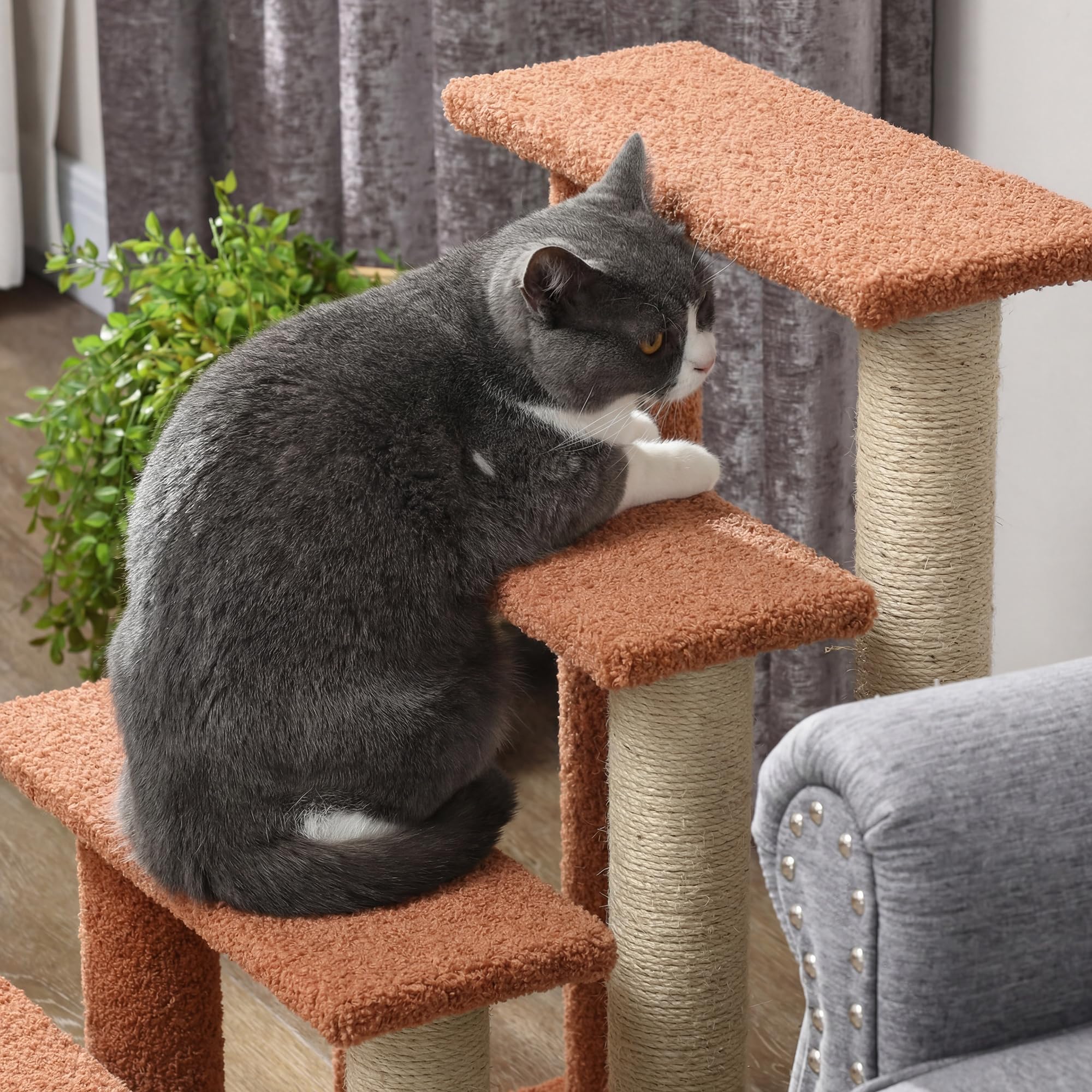 PawHut Escalier pour chats avec griffoir Escalier pour animaux domestiques à 4 marches avec balle de jeu Escalier pour chiens Escalier pour animaux pour chats jusqu'à 5 kg, peluche Jute Marron 60 x 40