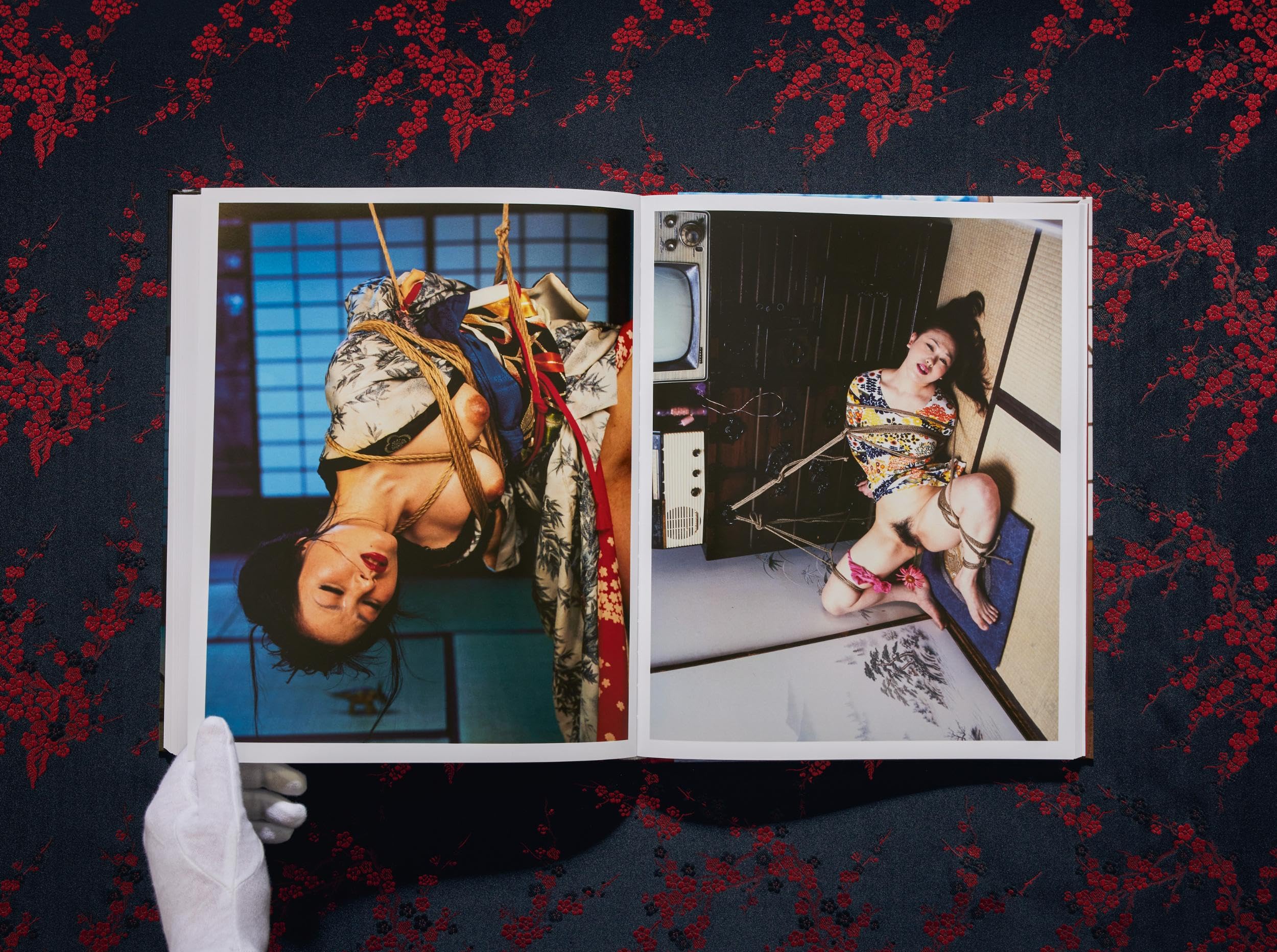Araki: Bondage