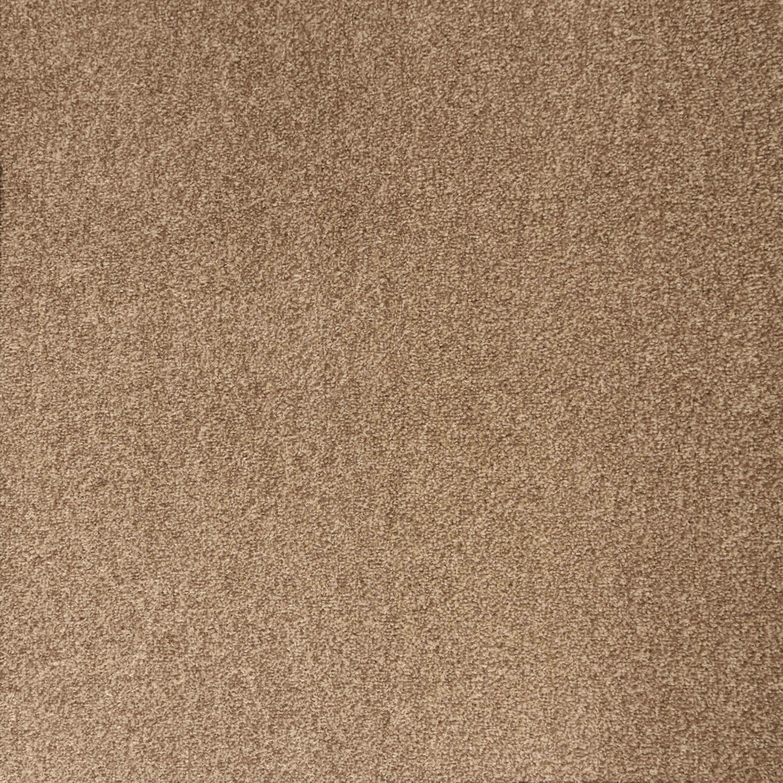 Underfoot Felt-Backed Carpet - Durable Twist Pile Carpet Bleach-Cleanable & Stain-Resistant | Easy Fit DIY Friendly Carpets (Biscuit, 4m x 10m) image