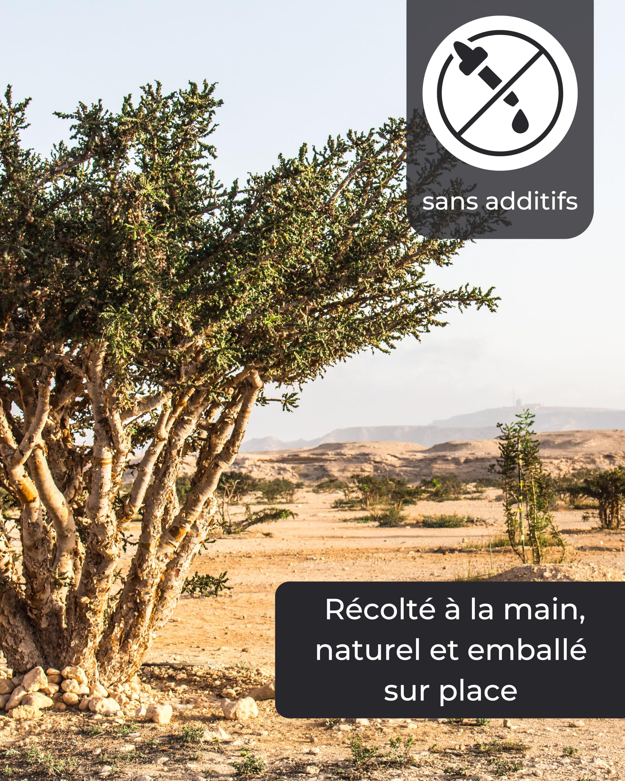 Encens Naturel en résine Boswellia Papyrifera 50g - Oliban éthiopien pour Purification