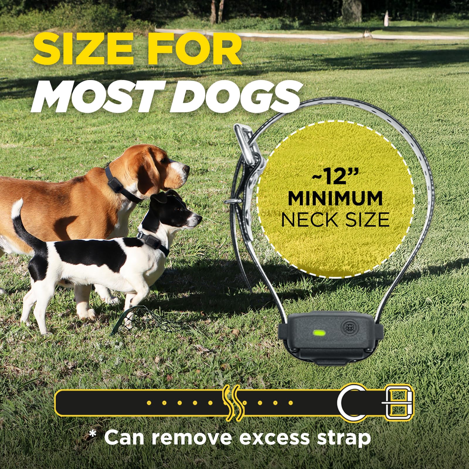 Dogtra iQ Vibe Vibration Only No Bark Collar: 4X Stronger HPP Vibration IPX9K Waterproof Precision Sensor Rechargeable product thumbnail 8