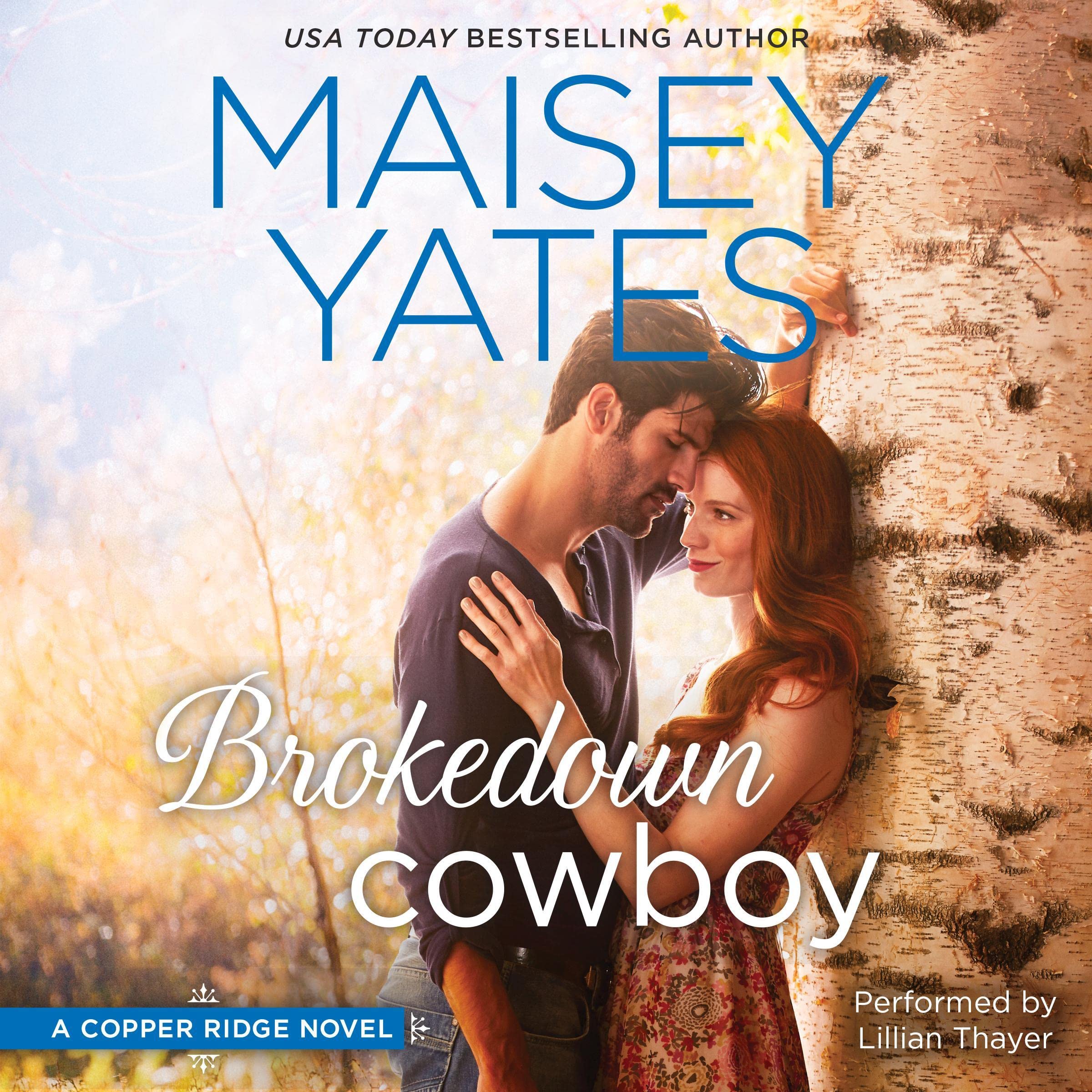 Cover art for Brokedown Cowboy