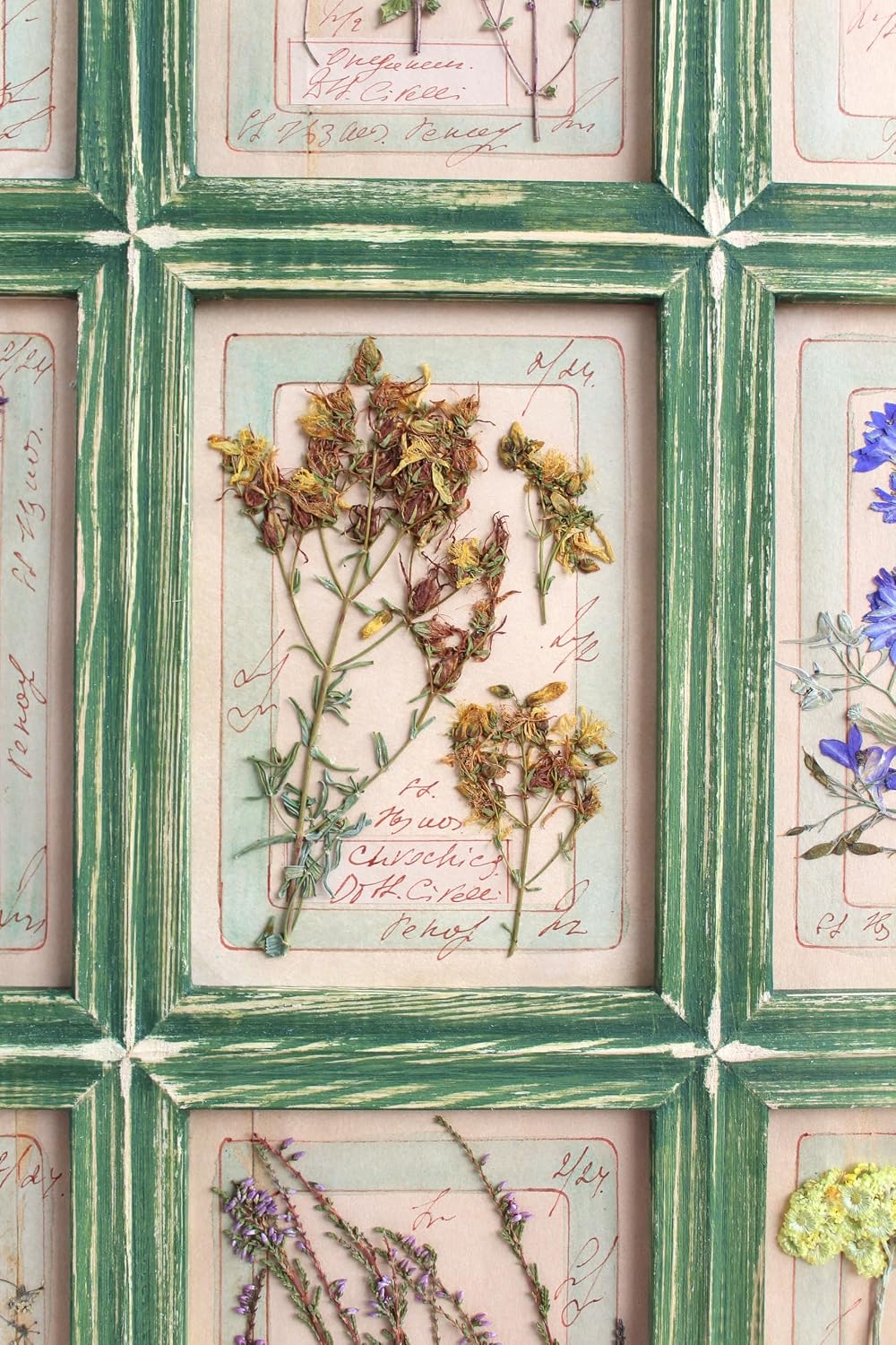 Farmhouse Hanging Art, Large Green Flwrs Frame, Kitchen Floral Framed Wall Decor, Living Room Art, Rustic Floral Wall Decor, Pressed Botanicals, 29.3x21.5 in