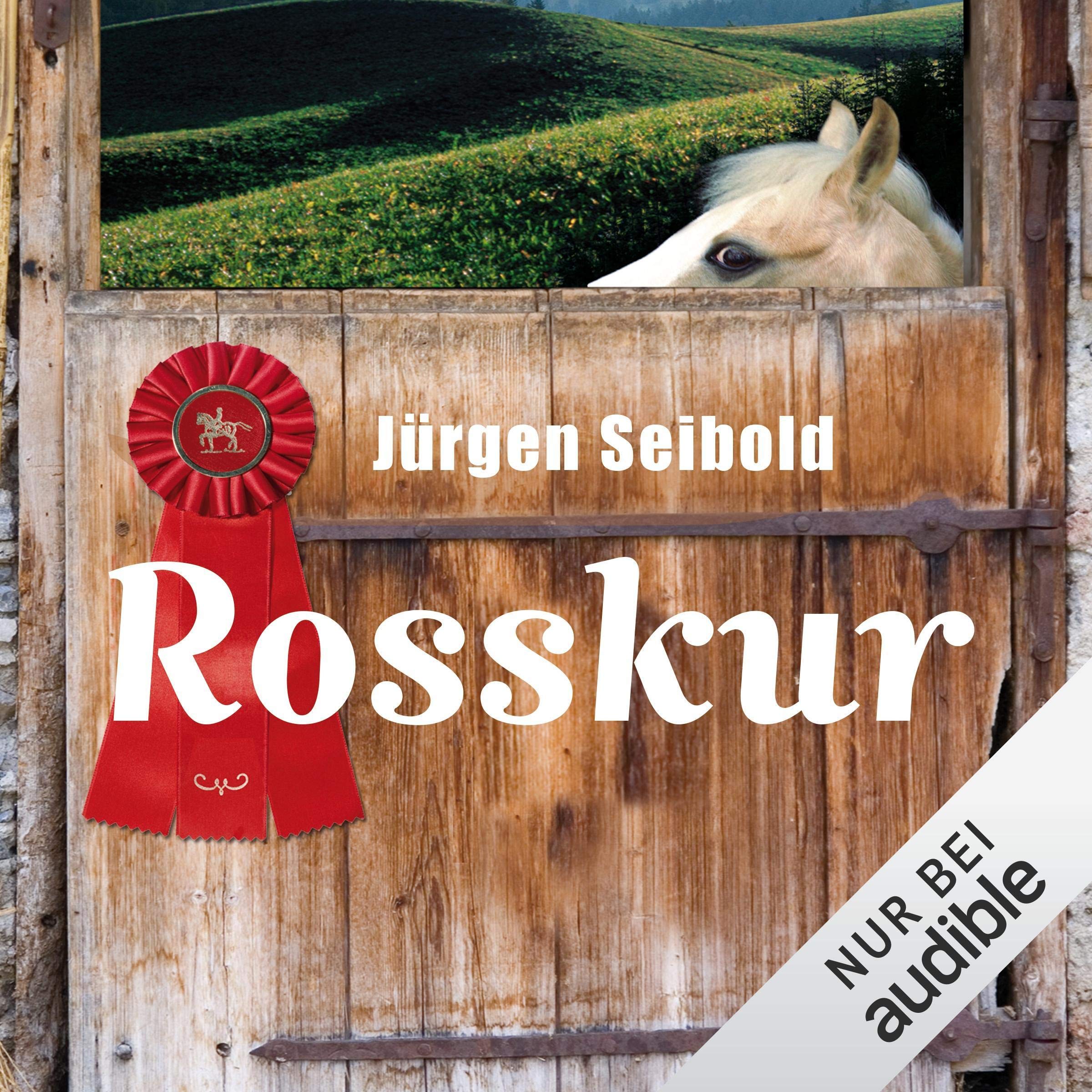 Cover art for Rosskur