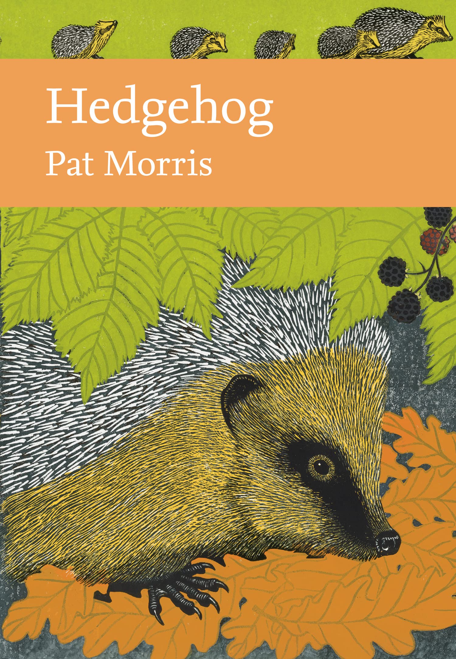 Hedgehog: Book 137