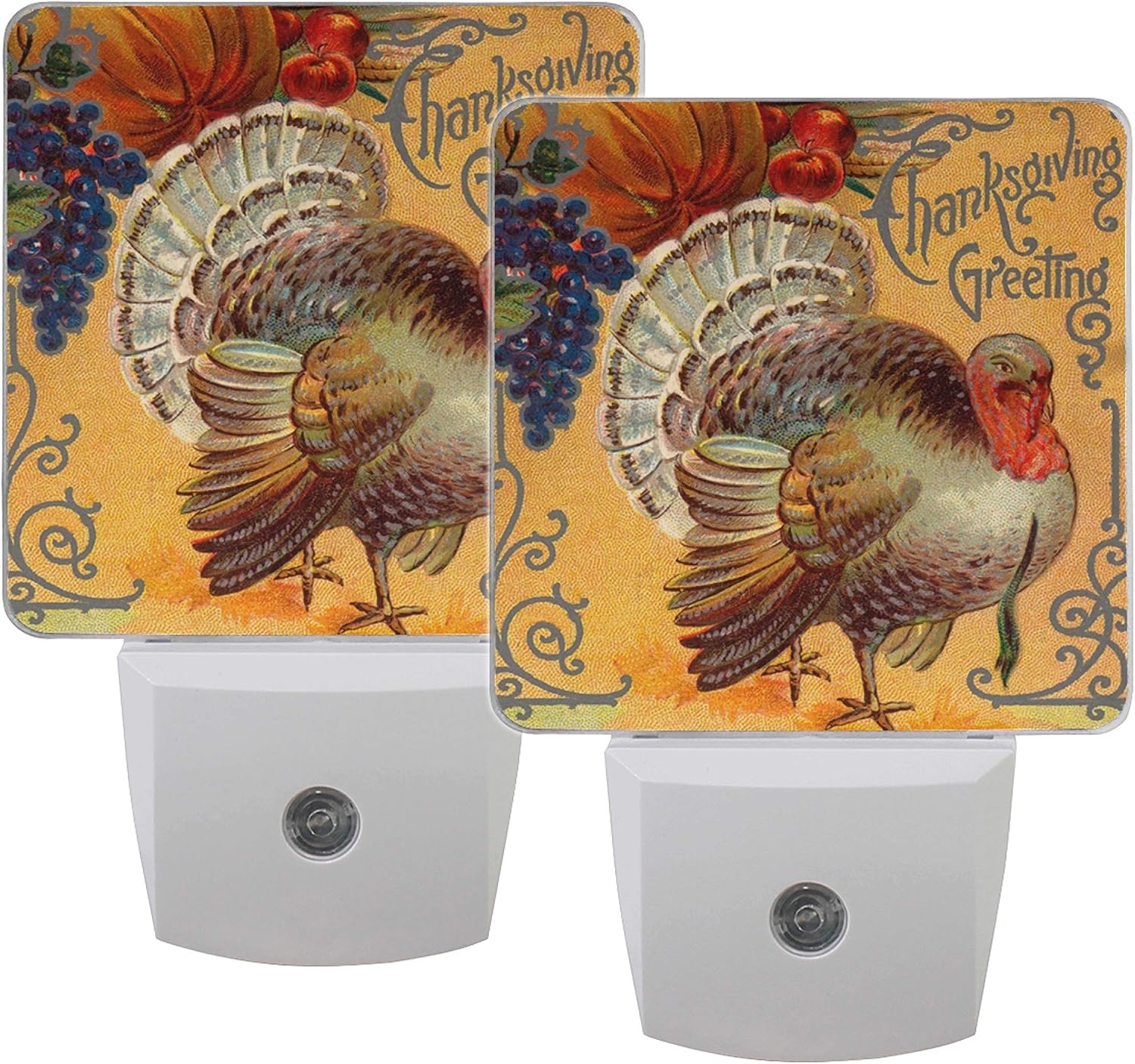 Naanle Set of 2 Thanksgiving Greeting Ornate Vintage Tom Turkey Pumpkin Fruit Grape Autumn Harvest Auto Sensor LED Dusk to Dawn Night Light Plug in Indoor for Adults